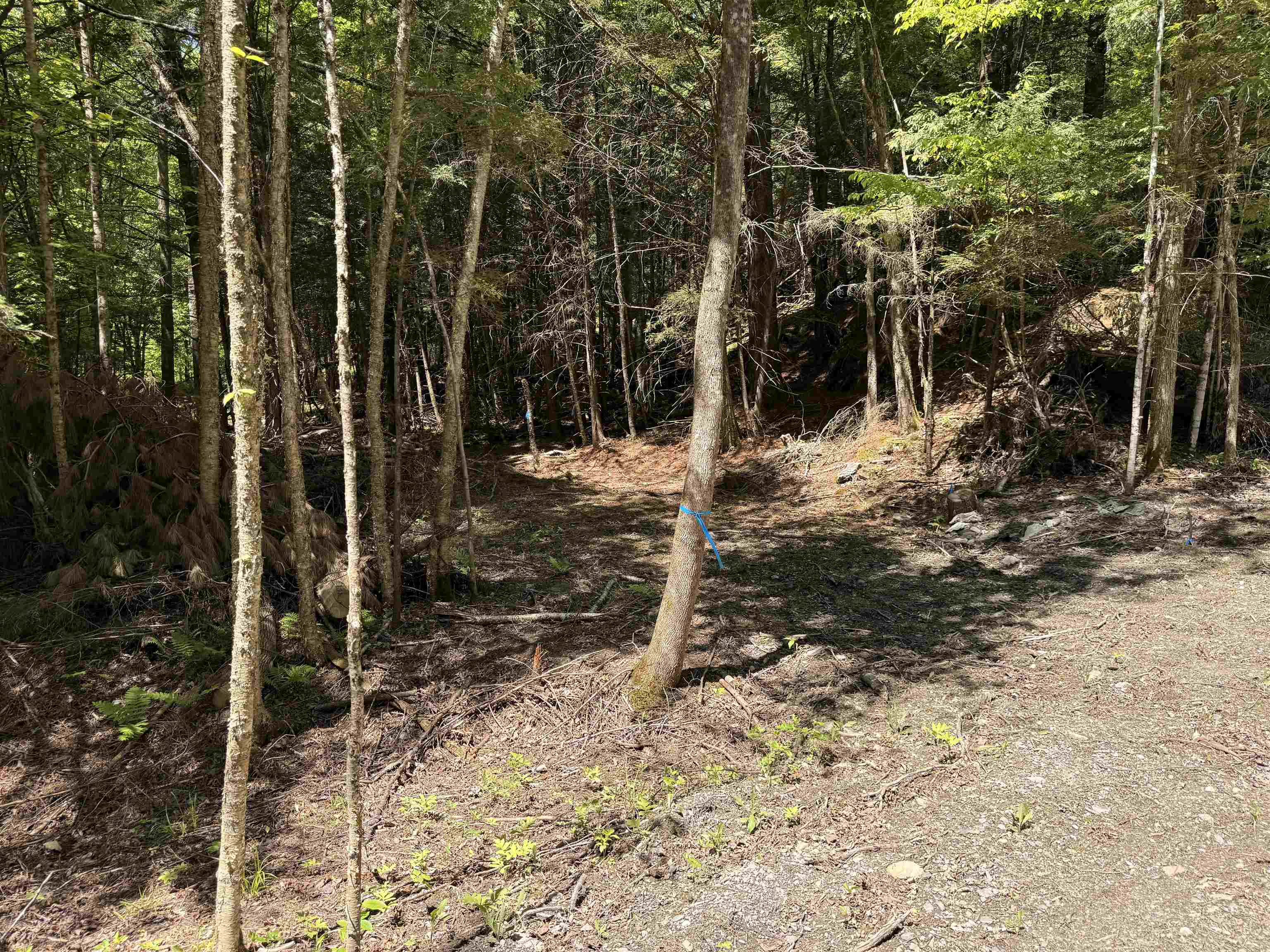 169 Sherman Street Property Photo 6