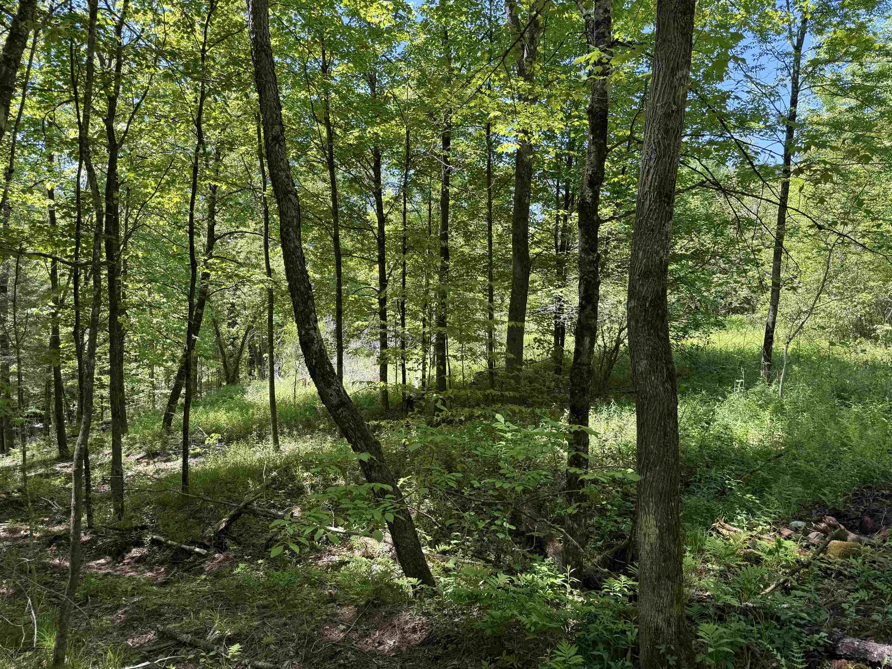 169 Sherman Street Property Photo 9