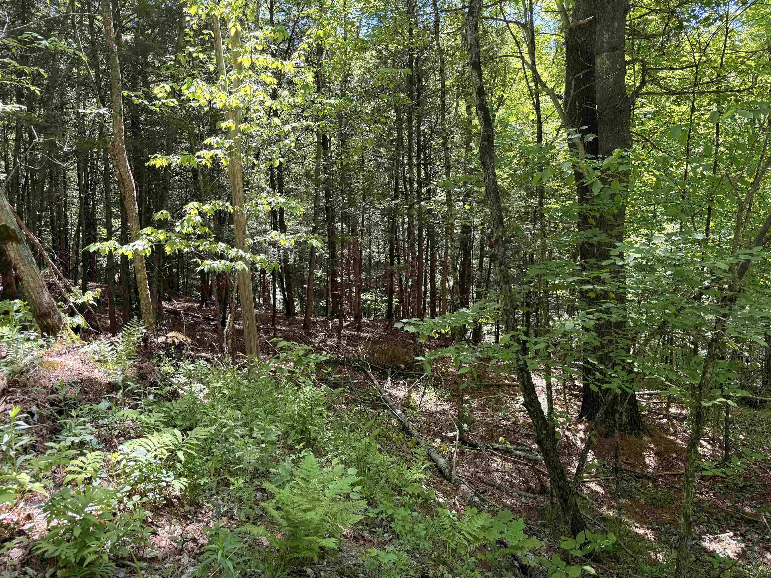 169 Sherman Street Property Photo 10