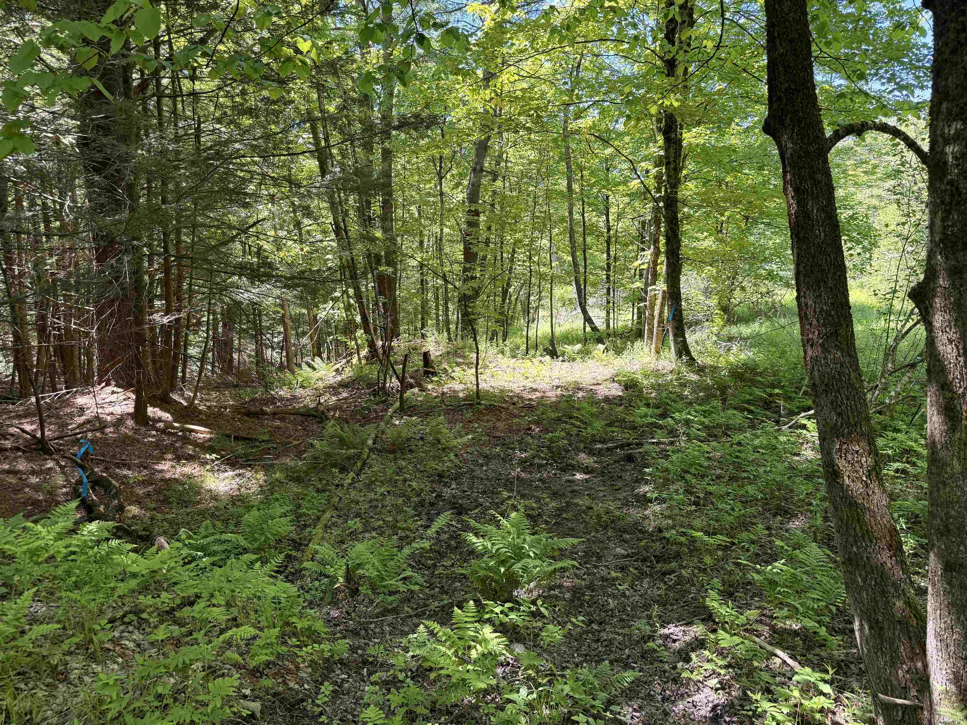 169 Sherman Street Property Photo 14