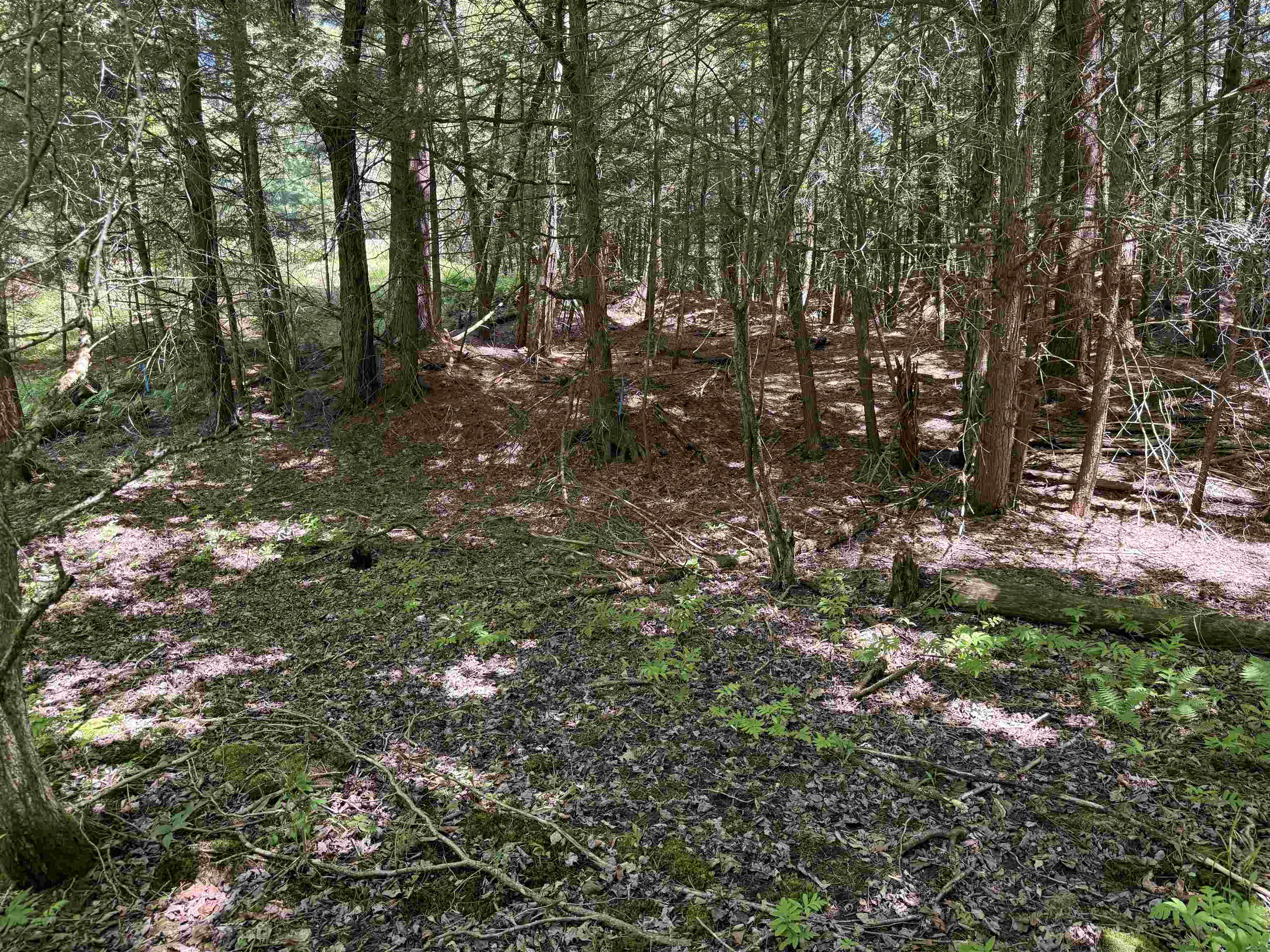 169 Sherman Street Property Photo 16