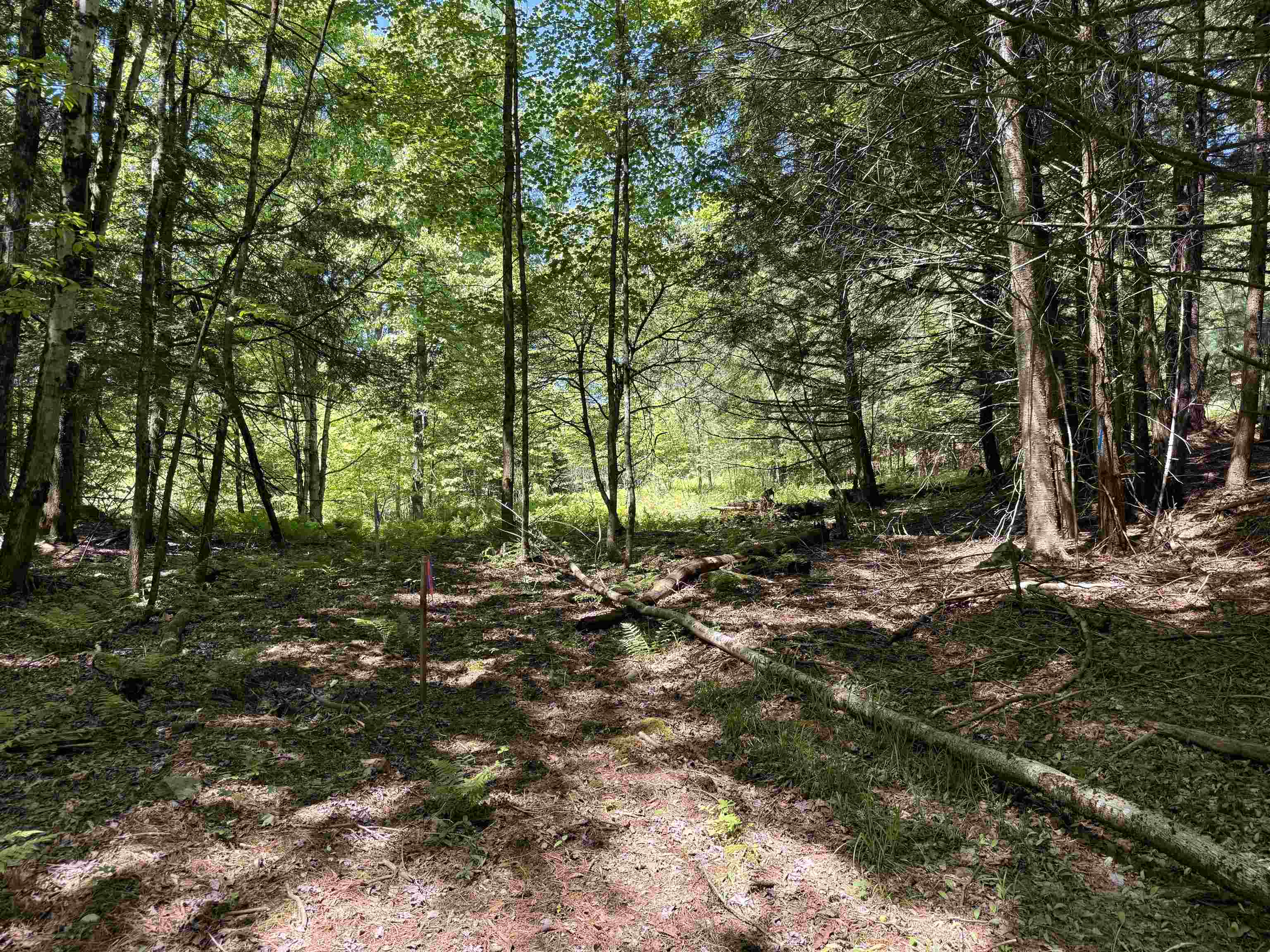 169 Sherman Street Property Photo 20
