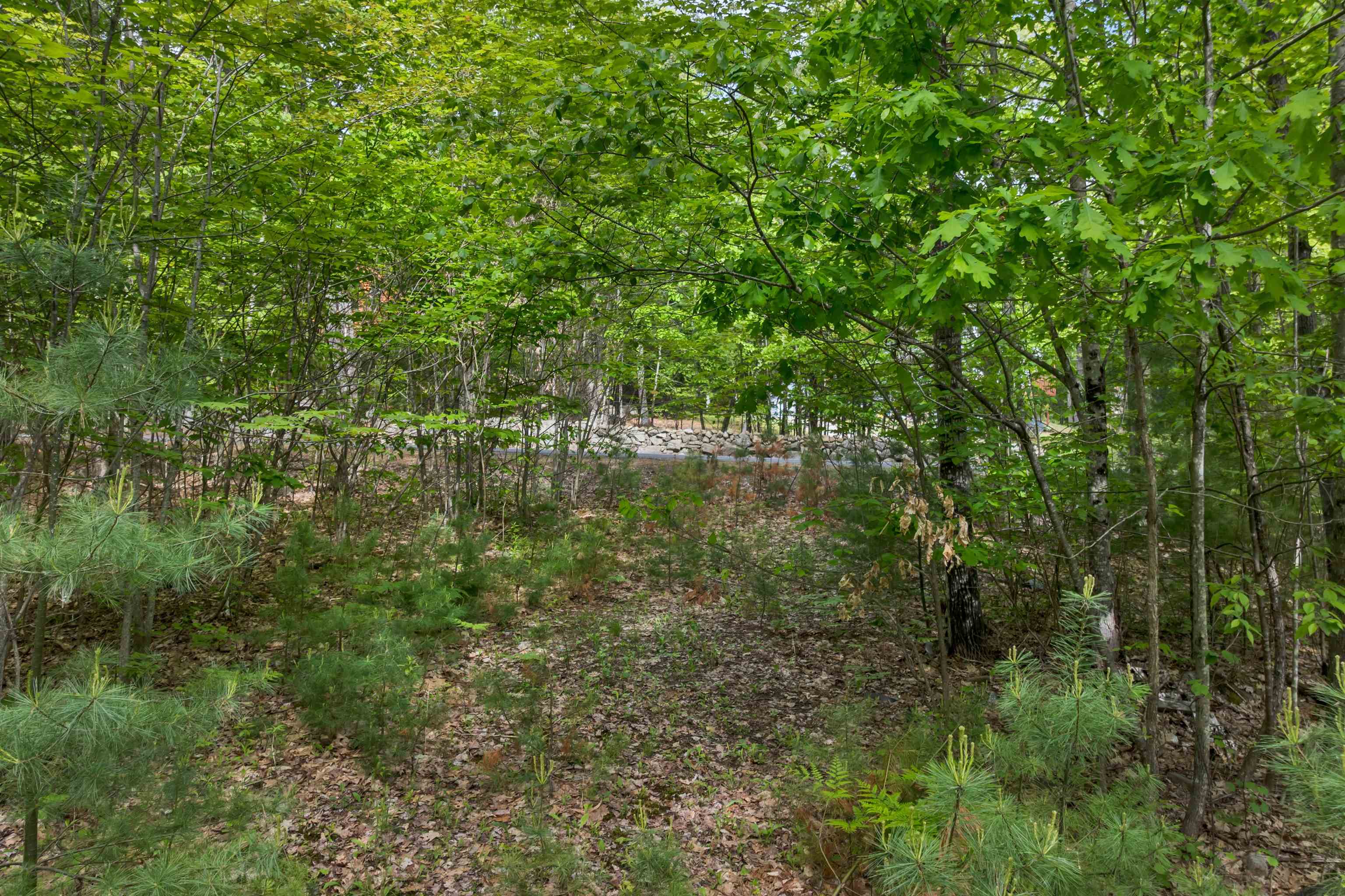 28 & 34 Hanson Mill Road Property Photo 17