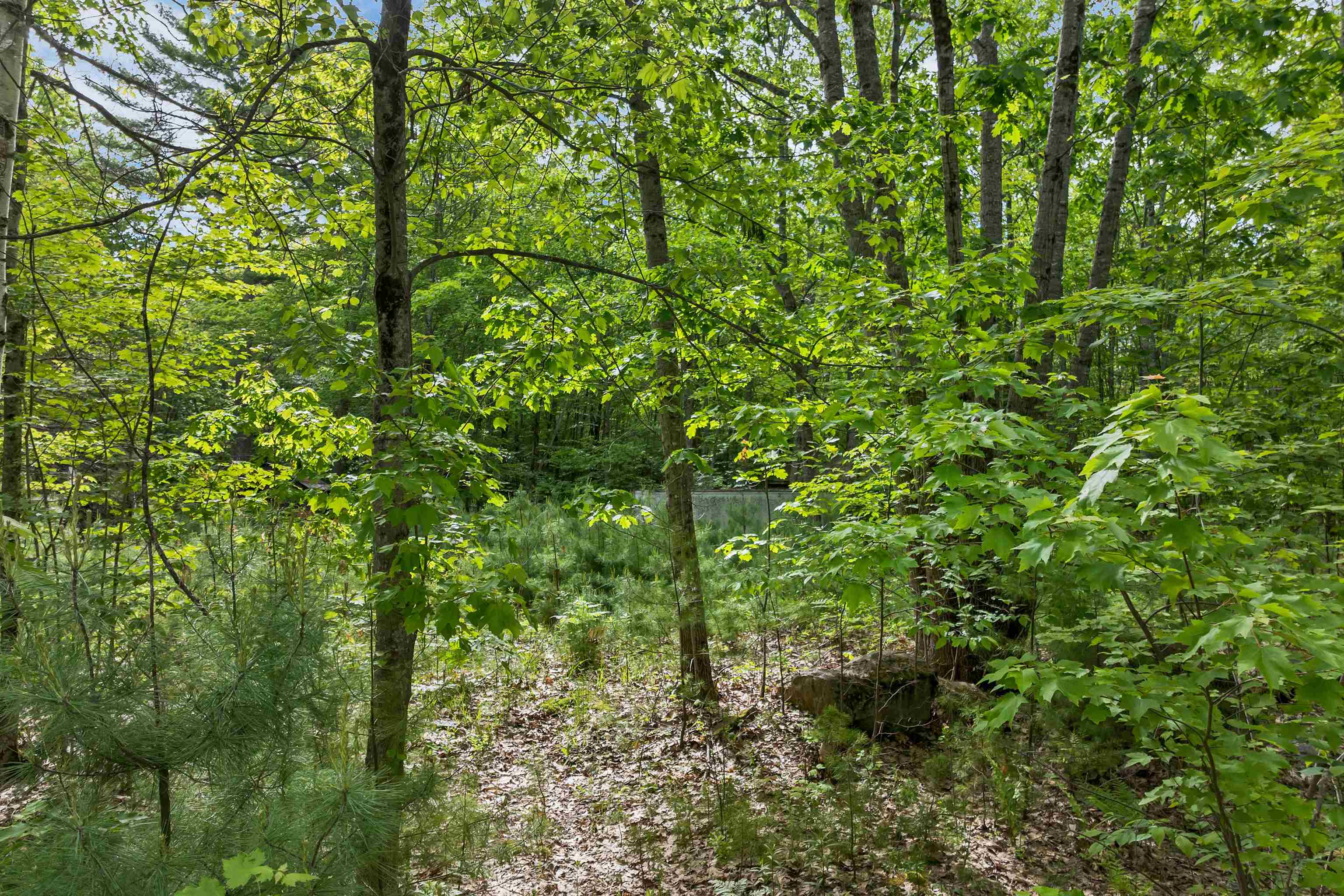 28 & 34 Hanson Mill Road Property Photo 19