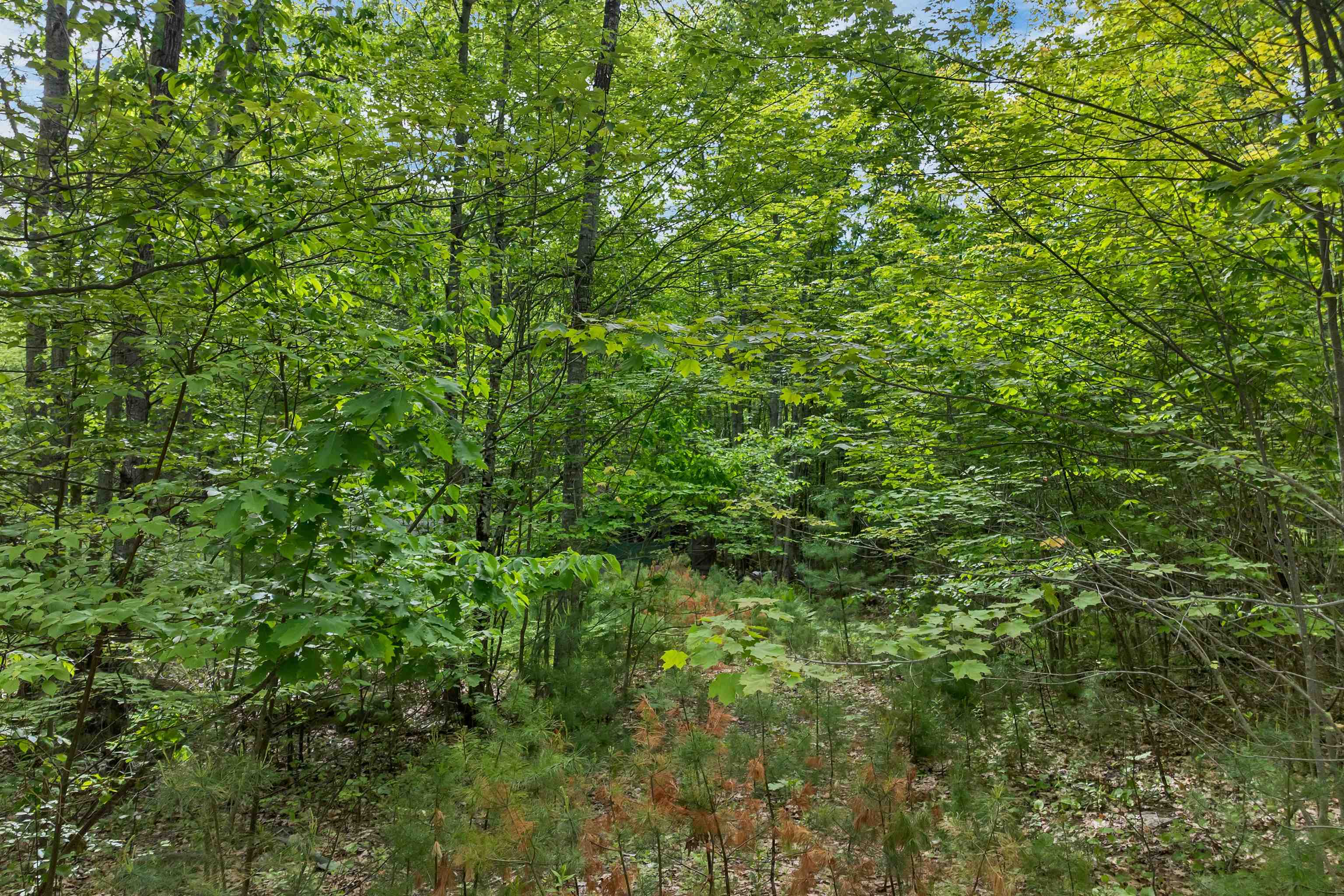 28 & 34 Hanson Mill Road Property Photo 20