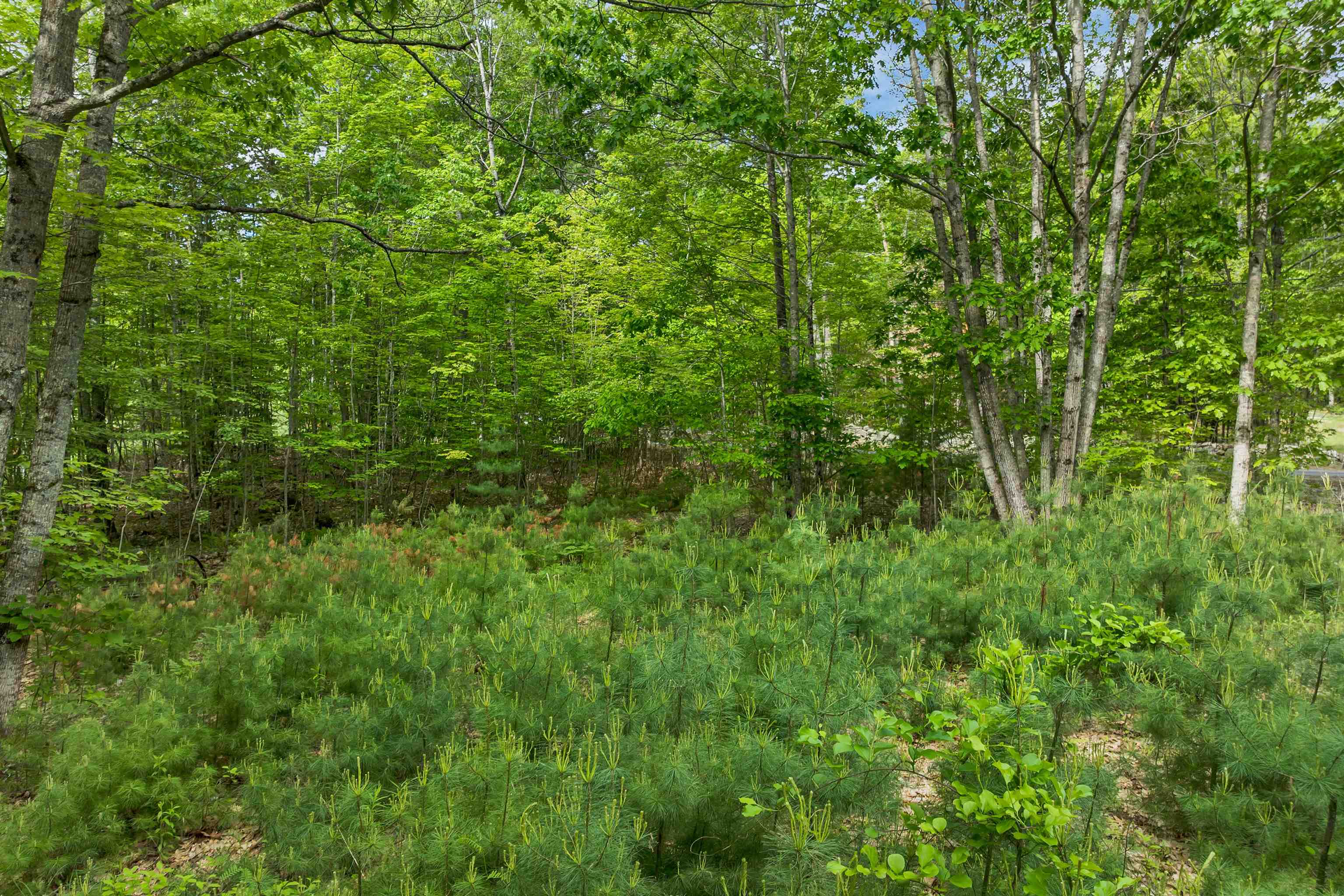 28 & 34 Hanson Mill Road Property Photo 21