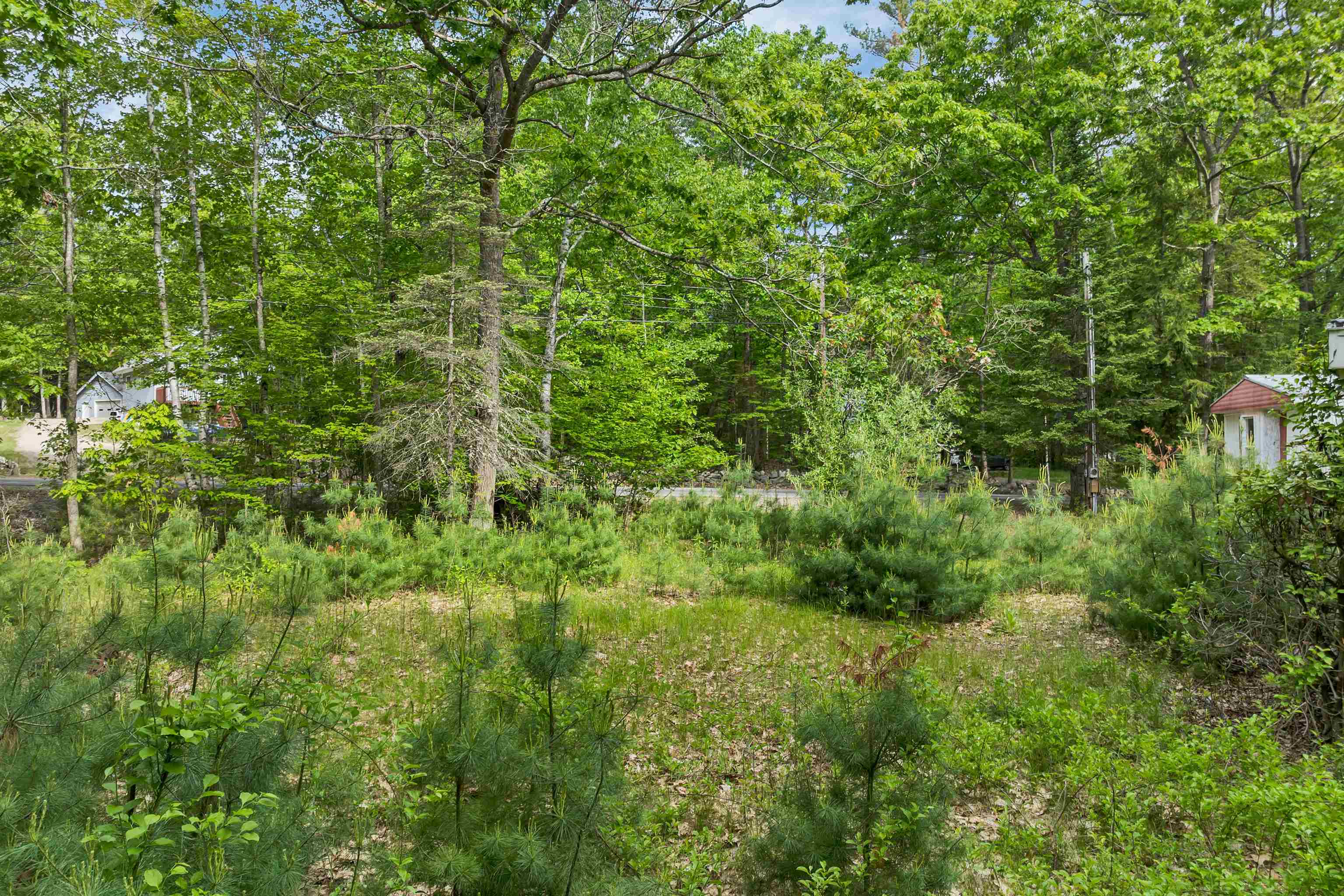 28 & 34 Hanson Mill Road Property Photo 22