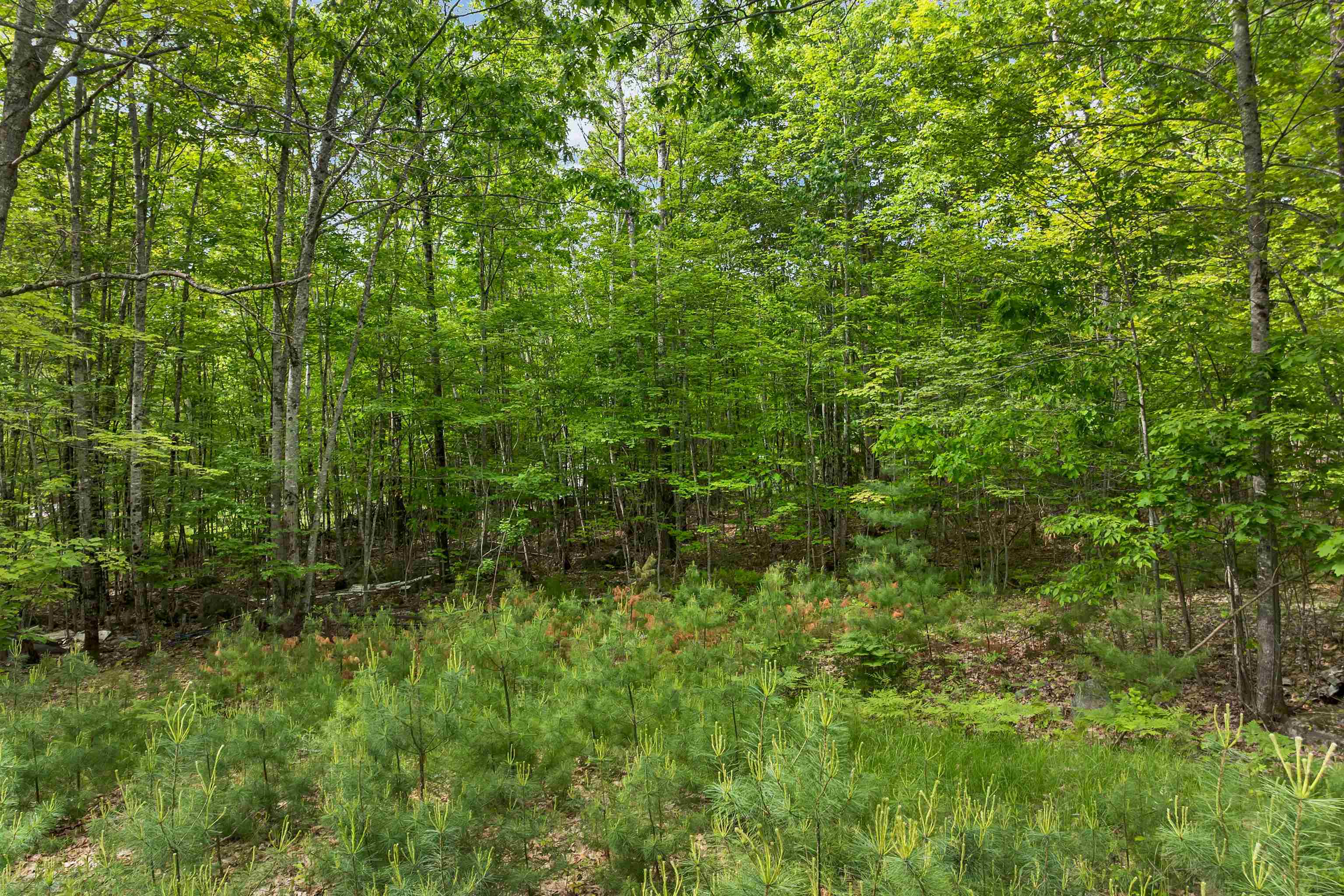 28 & 34 Hanson Mill Road Property Photo 23