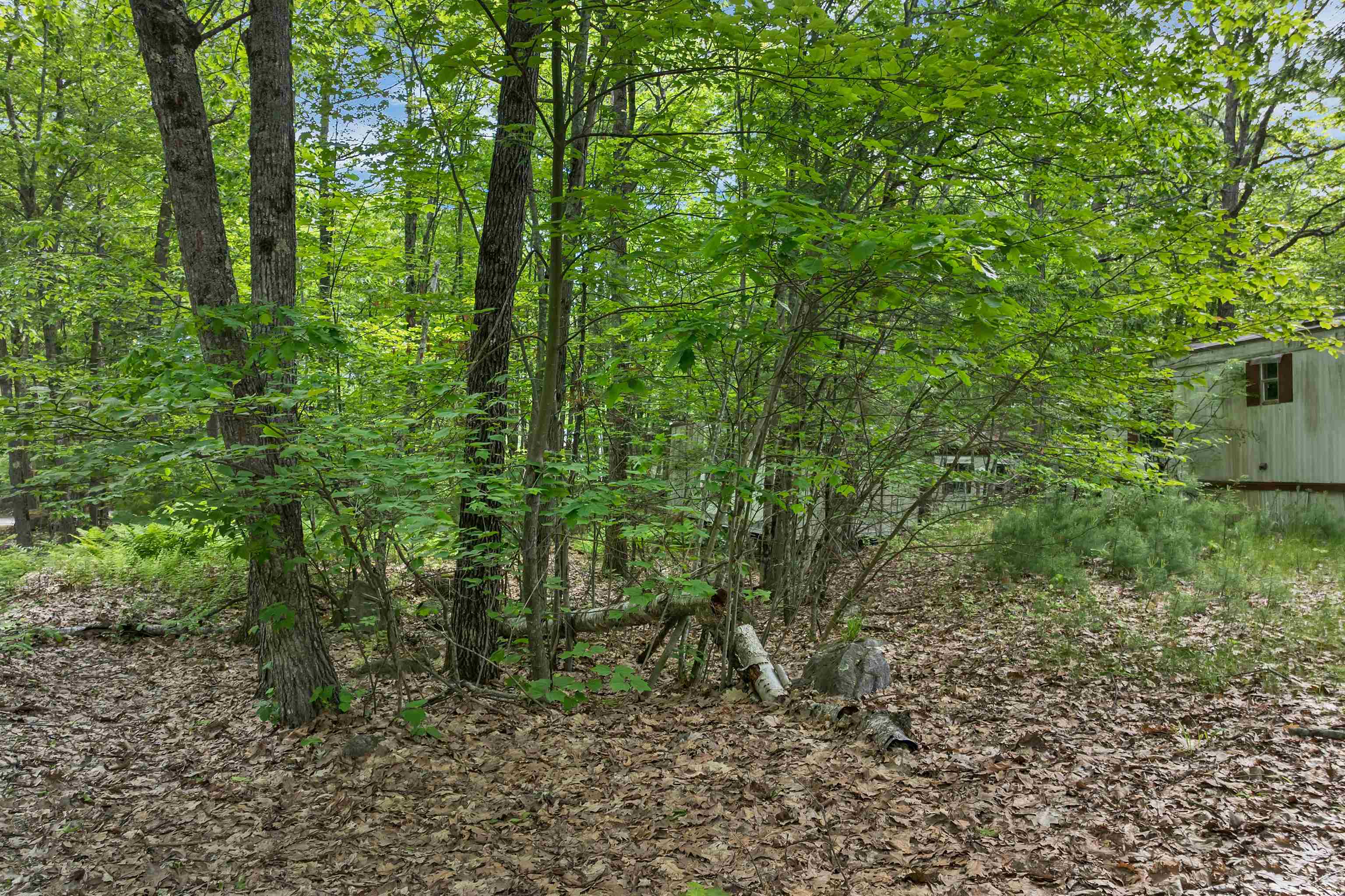 28 & 34 Hanson Mill Road Property Photo 24