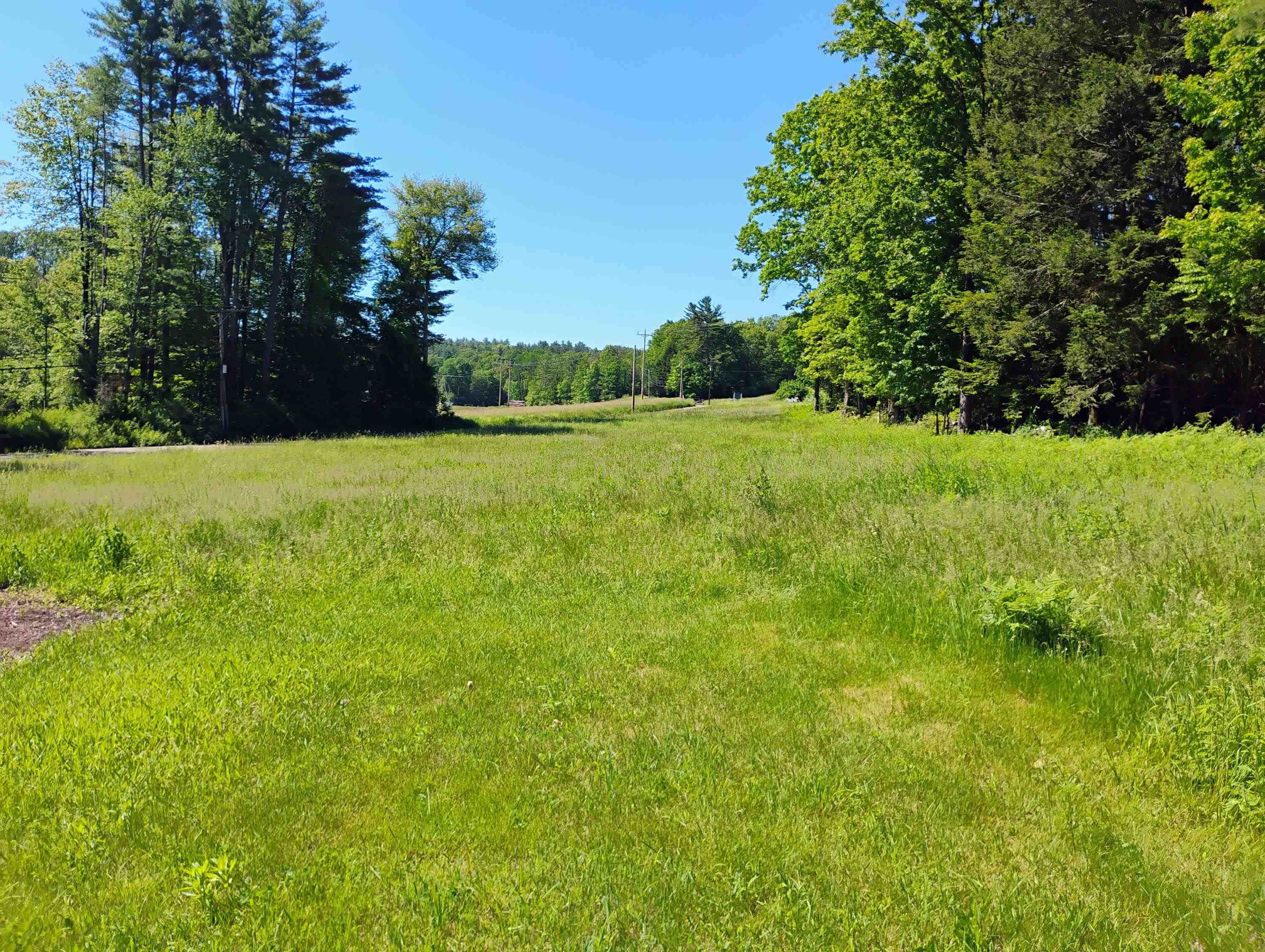 2117 Pine Banks Road Property Photo 7