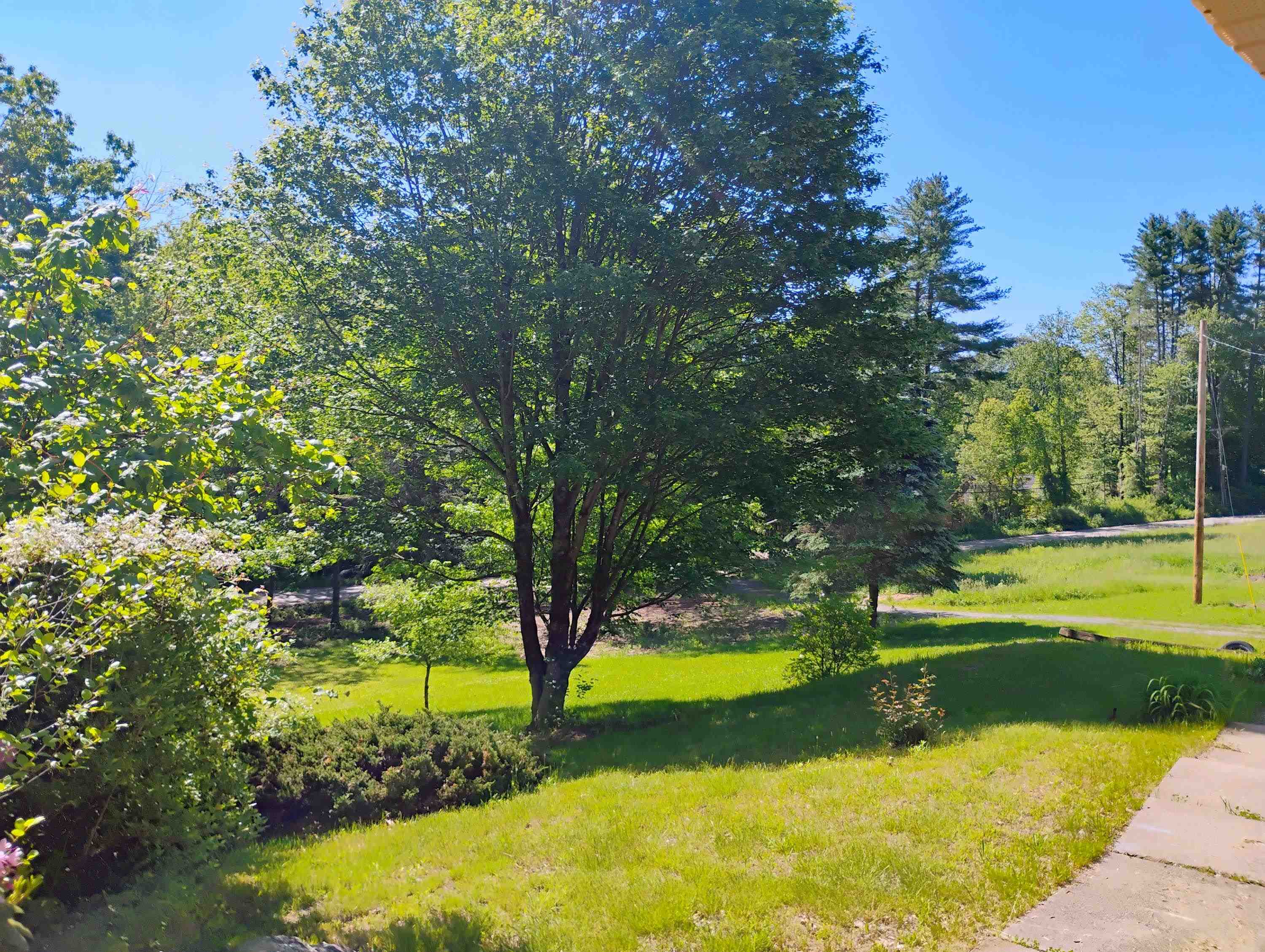 2117 Pine Banks Road Property Photo 18