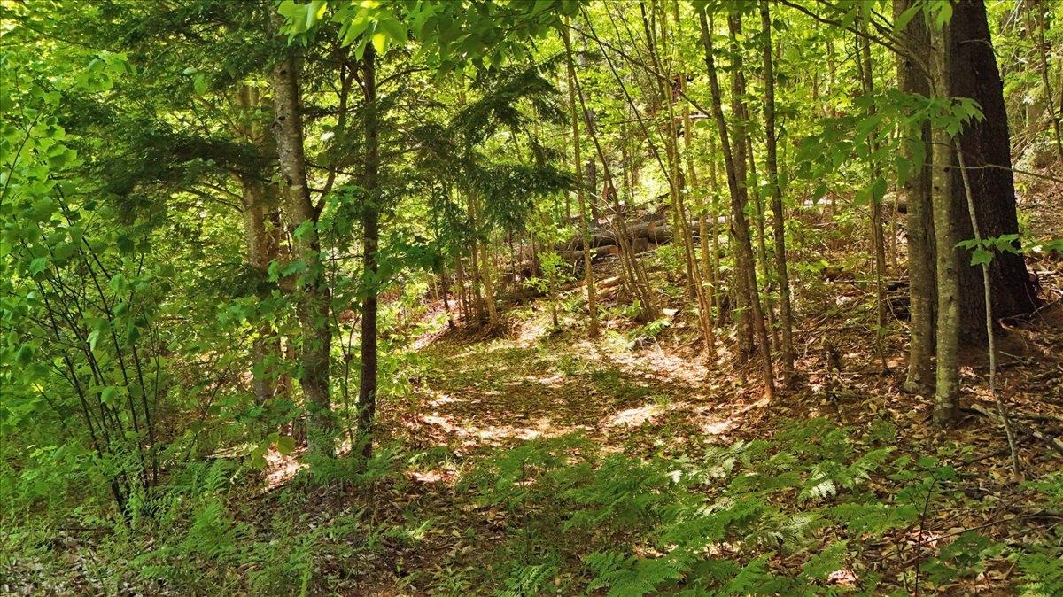 Lot 16 Barnett Road Property Photo 19