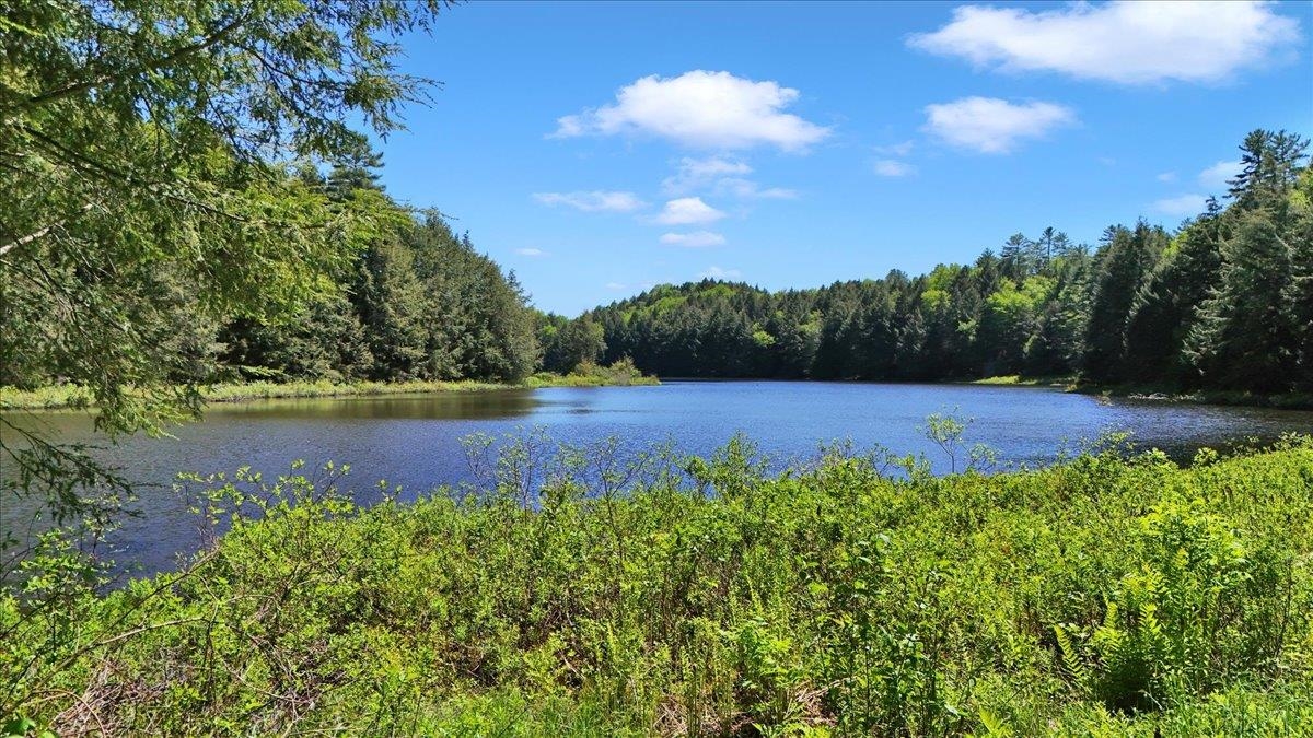 Lot 16 Barnett Road Property Photo 20