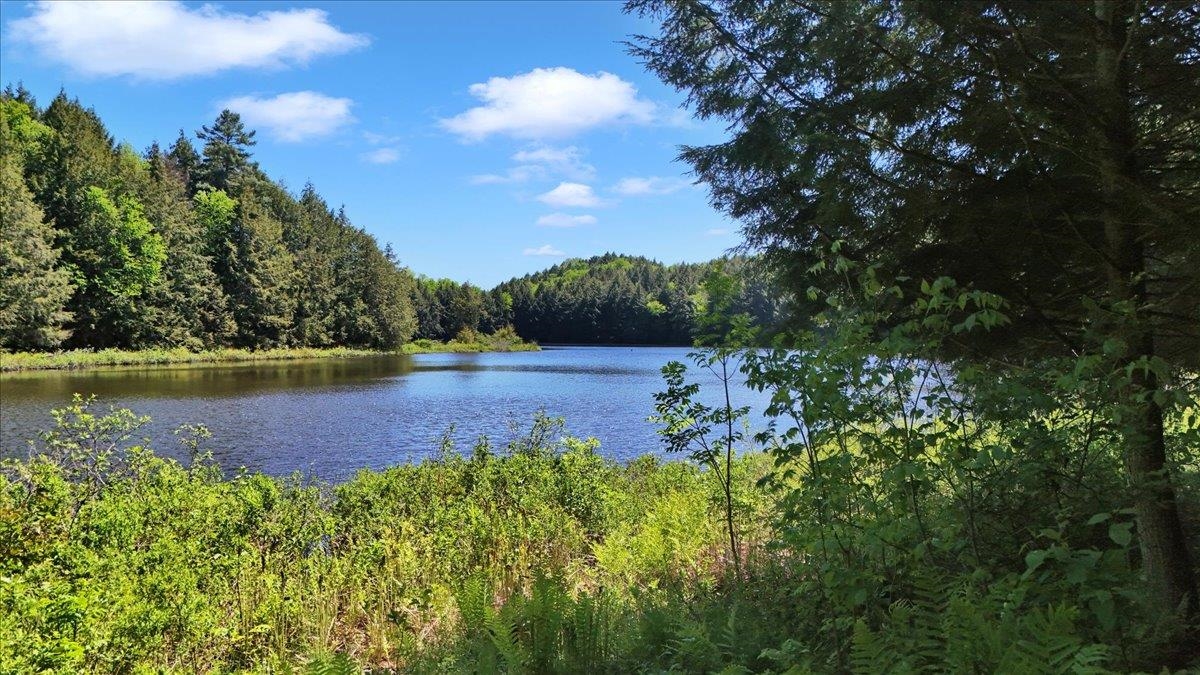 Lot 16 Barnett Road Property Photo 21