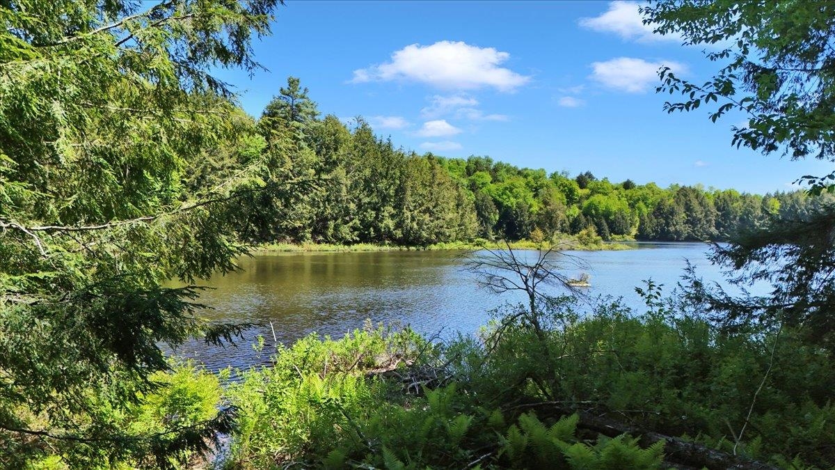 Lot 16 Barnett Road Property Photo 23