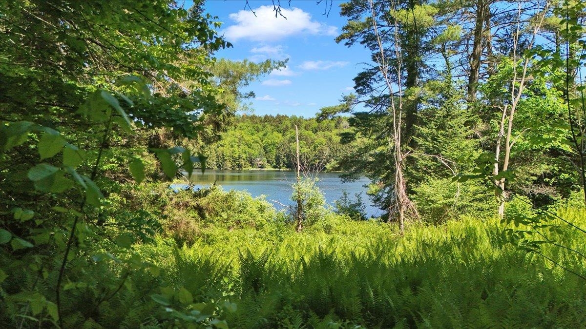 Lot 16 Barnett Road Property Photo 24