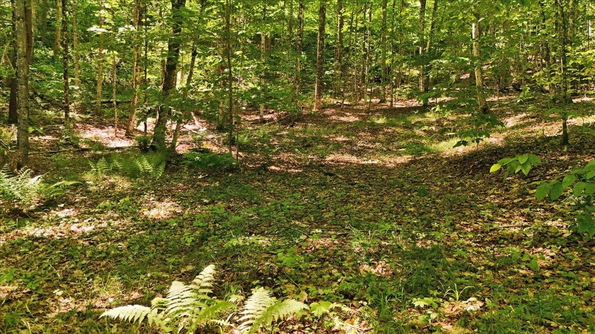 Lot 16 Barnett Road Property Photo 26