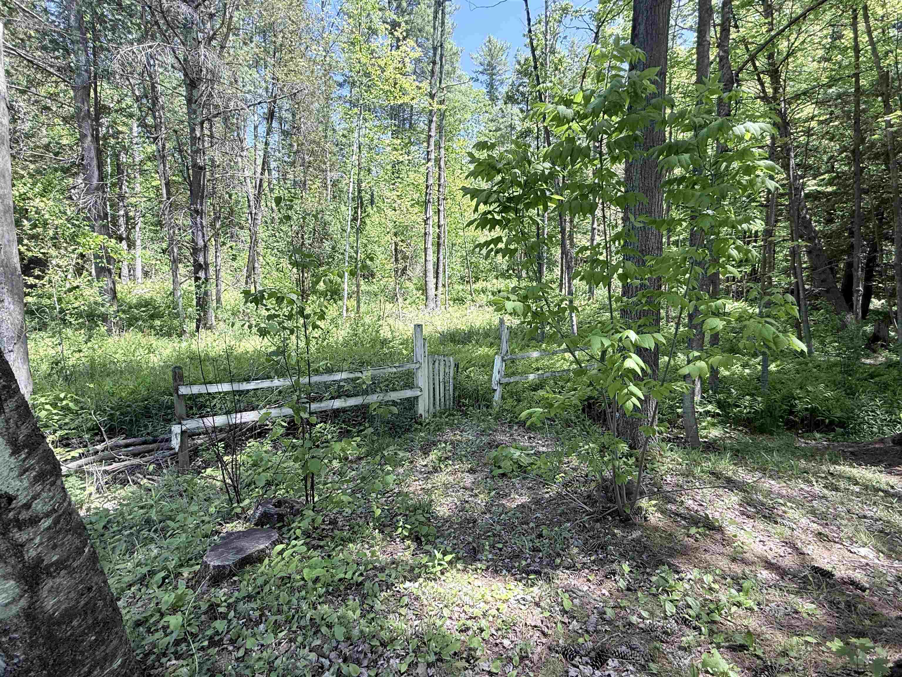 2183 Route 103 Property Photo 3