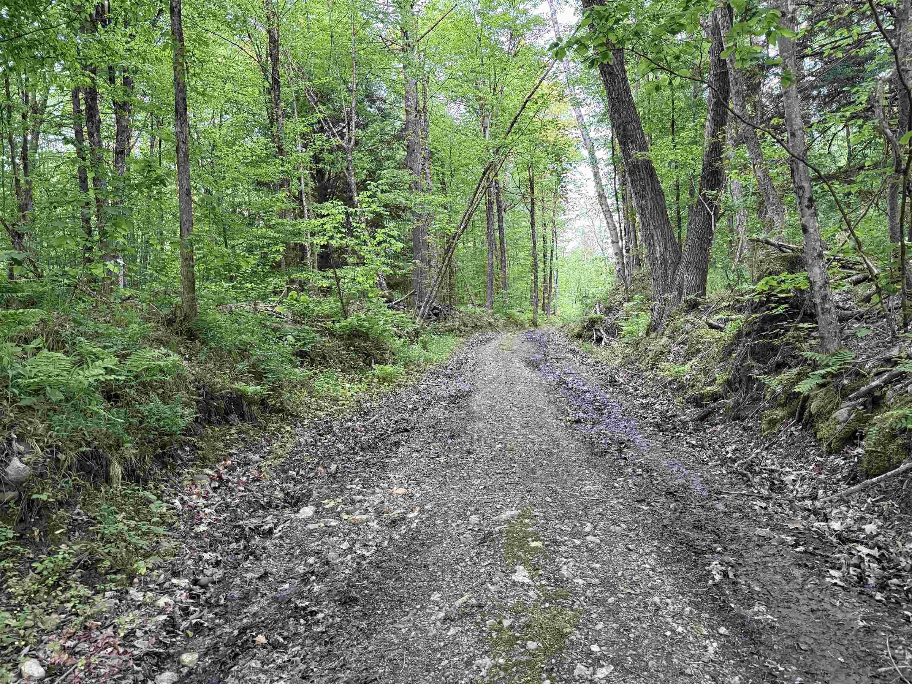 2183 Route 103 Property Photo 25