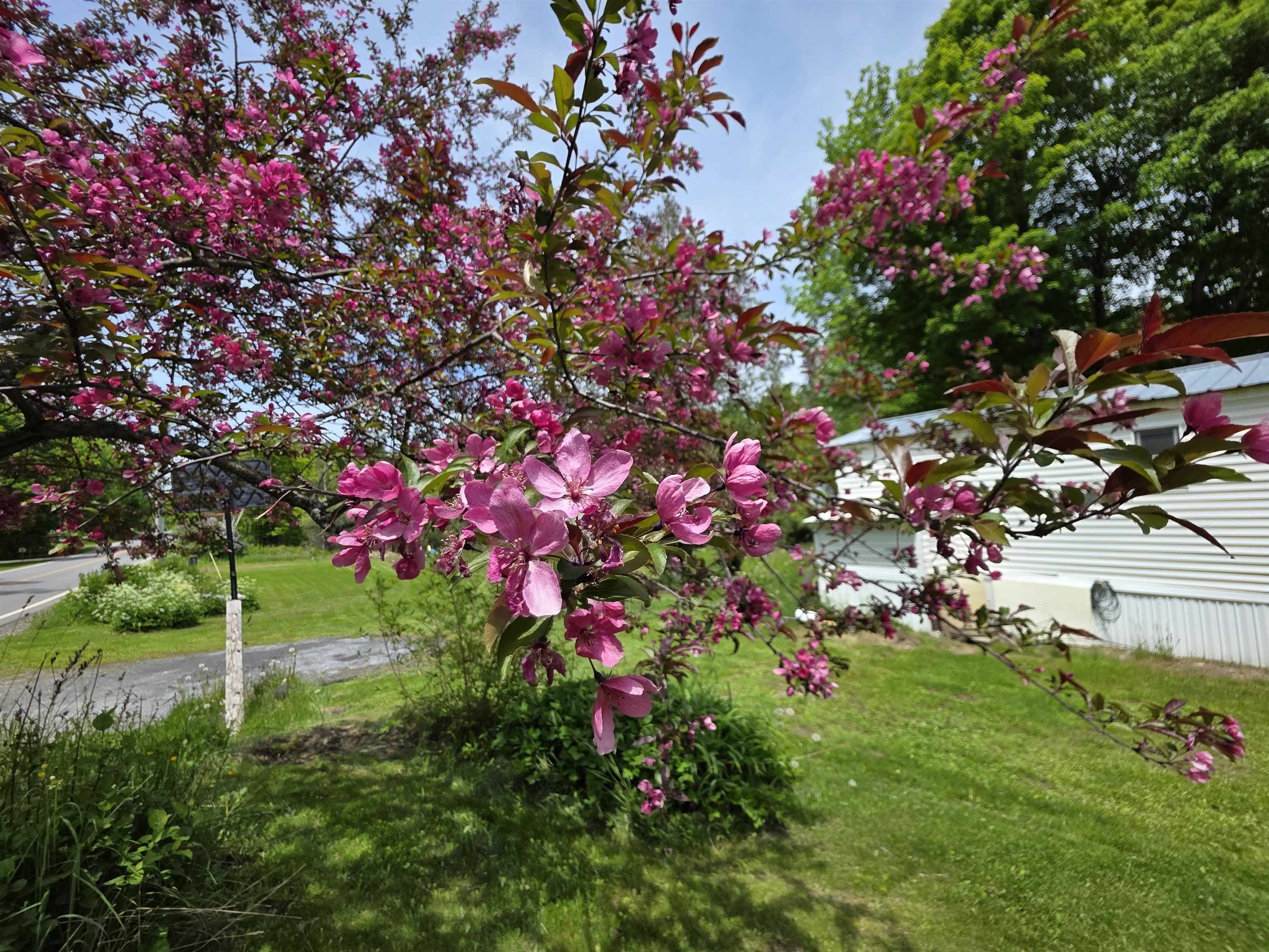 2731 Vt Rte 232 Property Photo 45