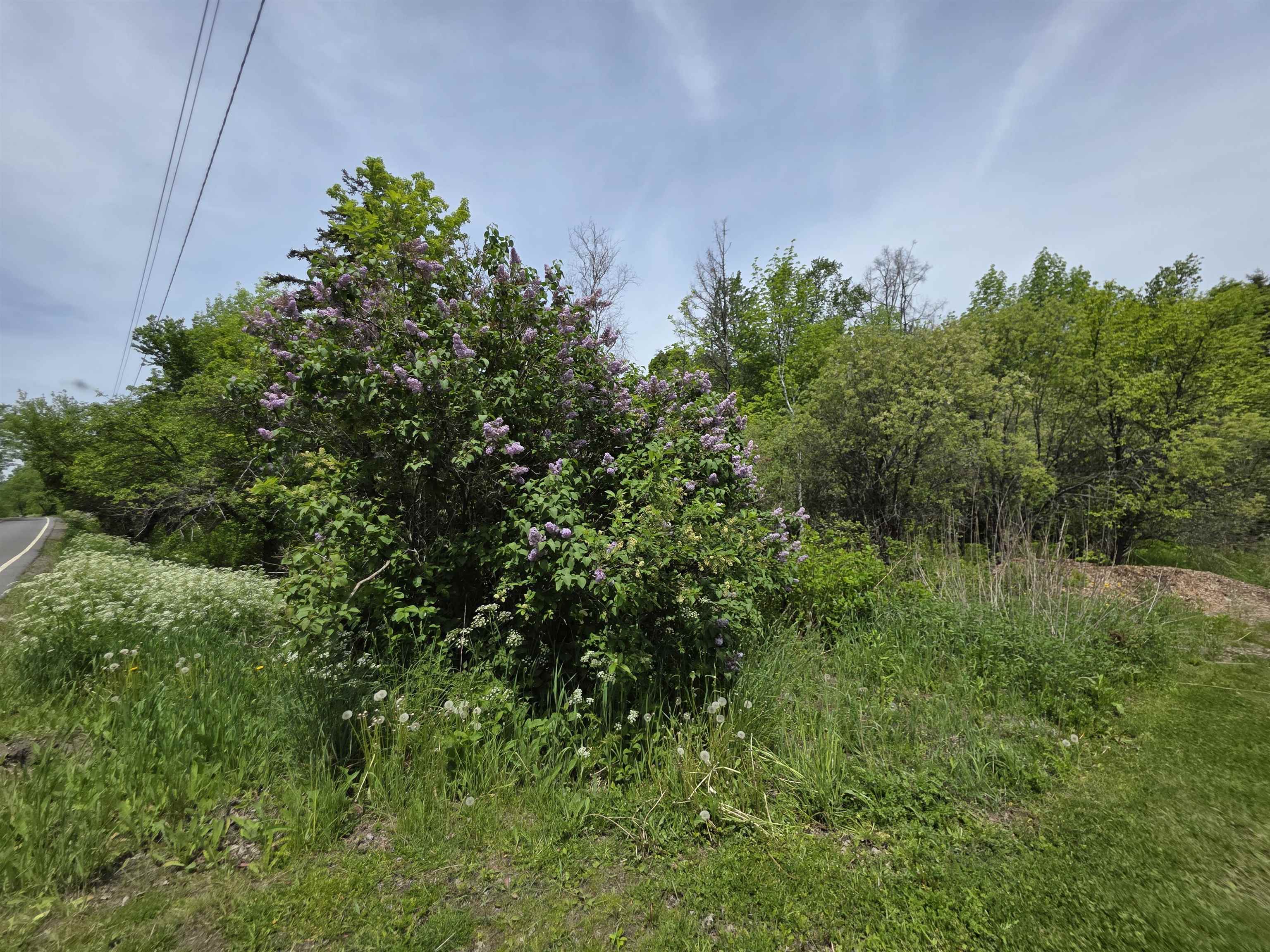 2731 Vt Rte 232 Property Photo 10