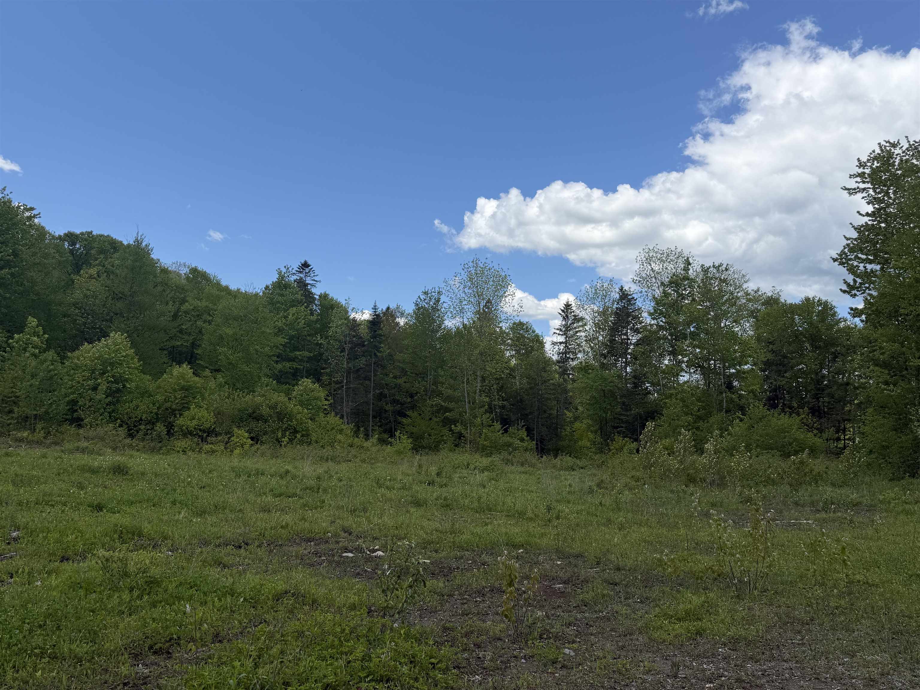 6885 Kirby Mountain Road Property Photo 49