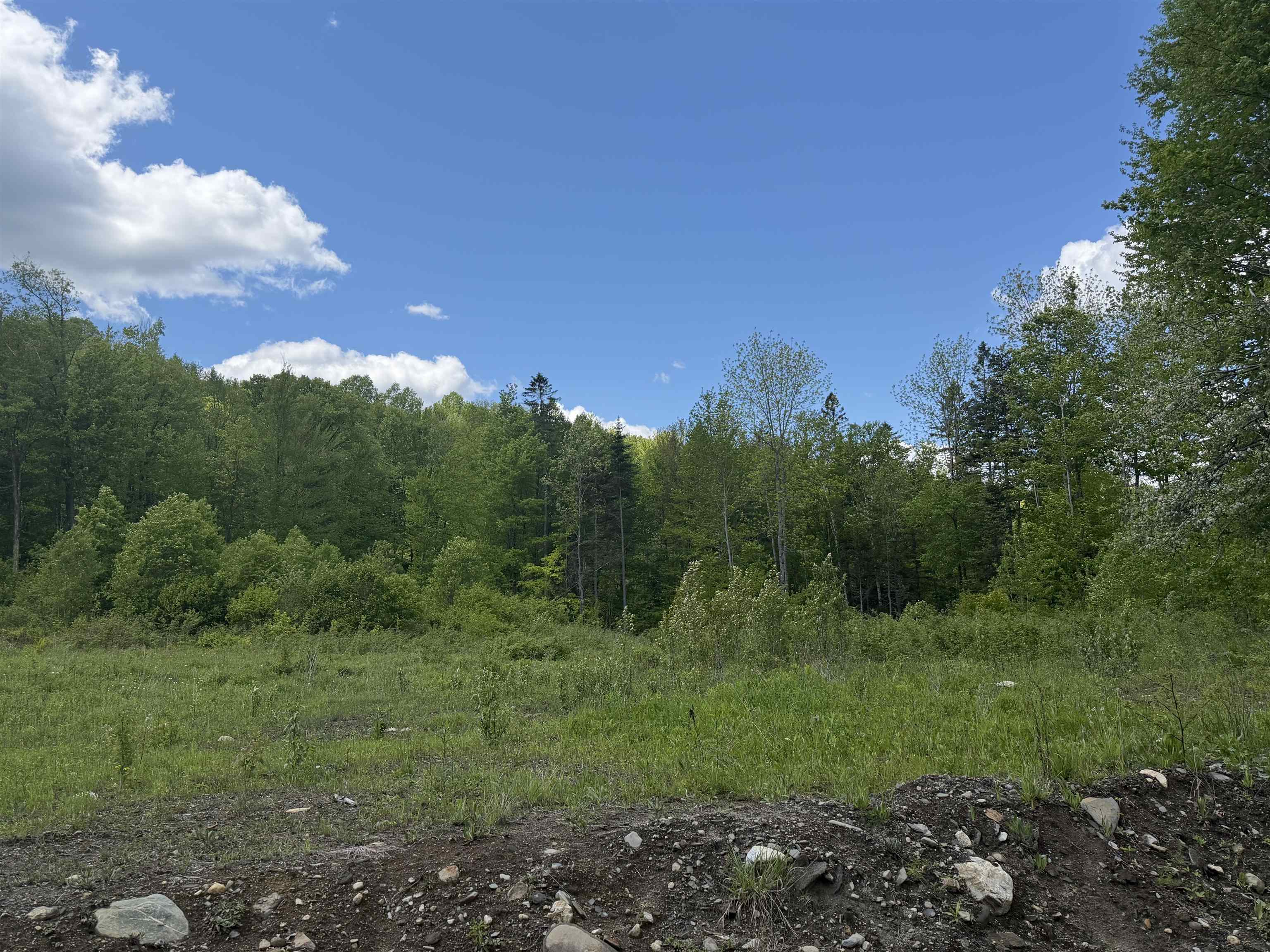 6885 Kirby Mountain Road Property Photo 50