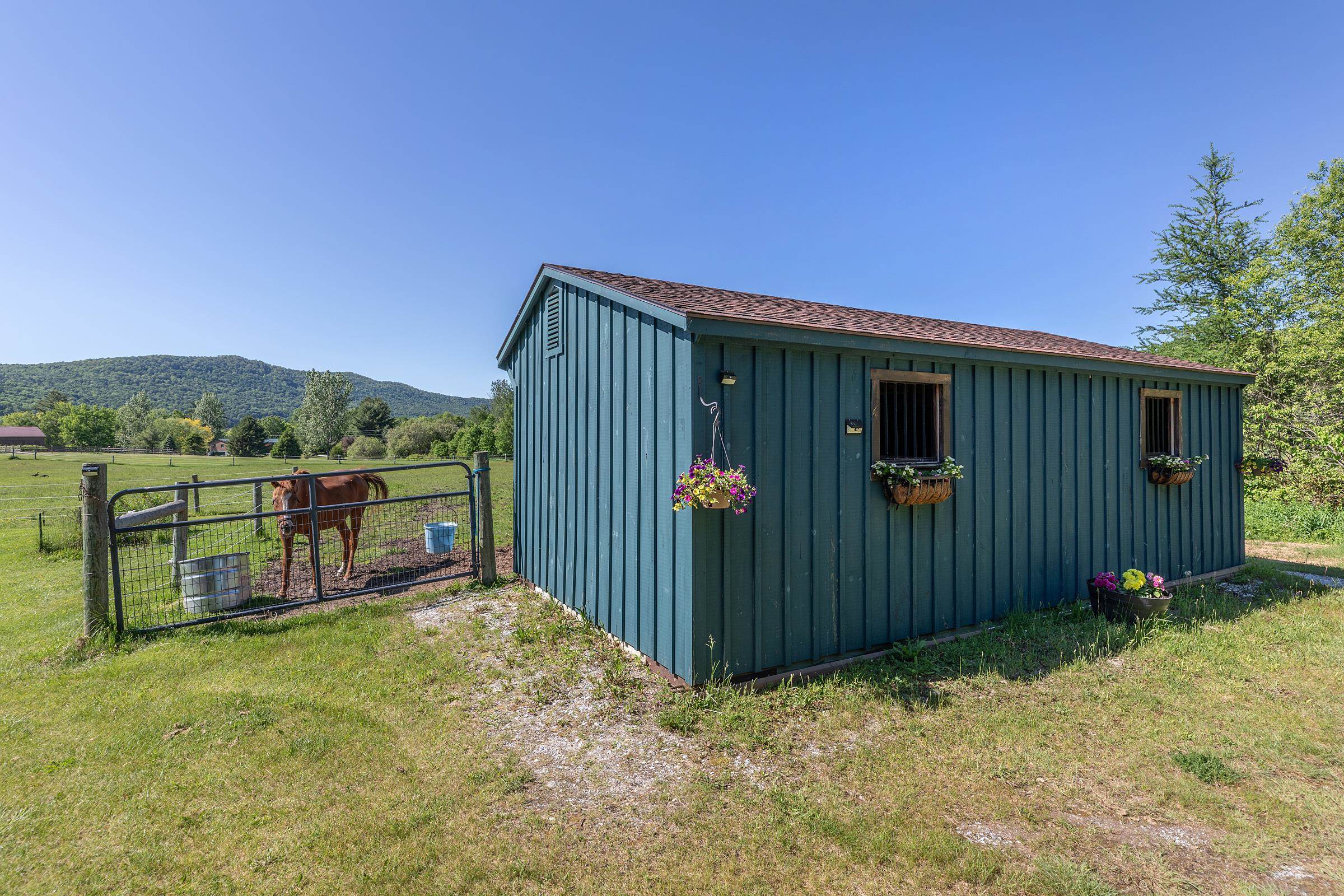 335 Tinmouth Road Property Photo 41