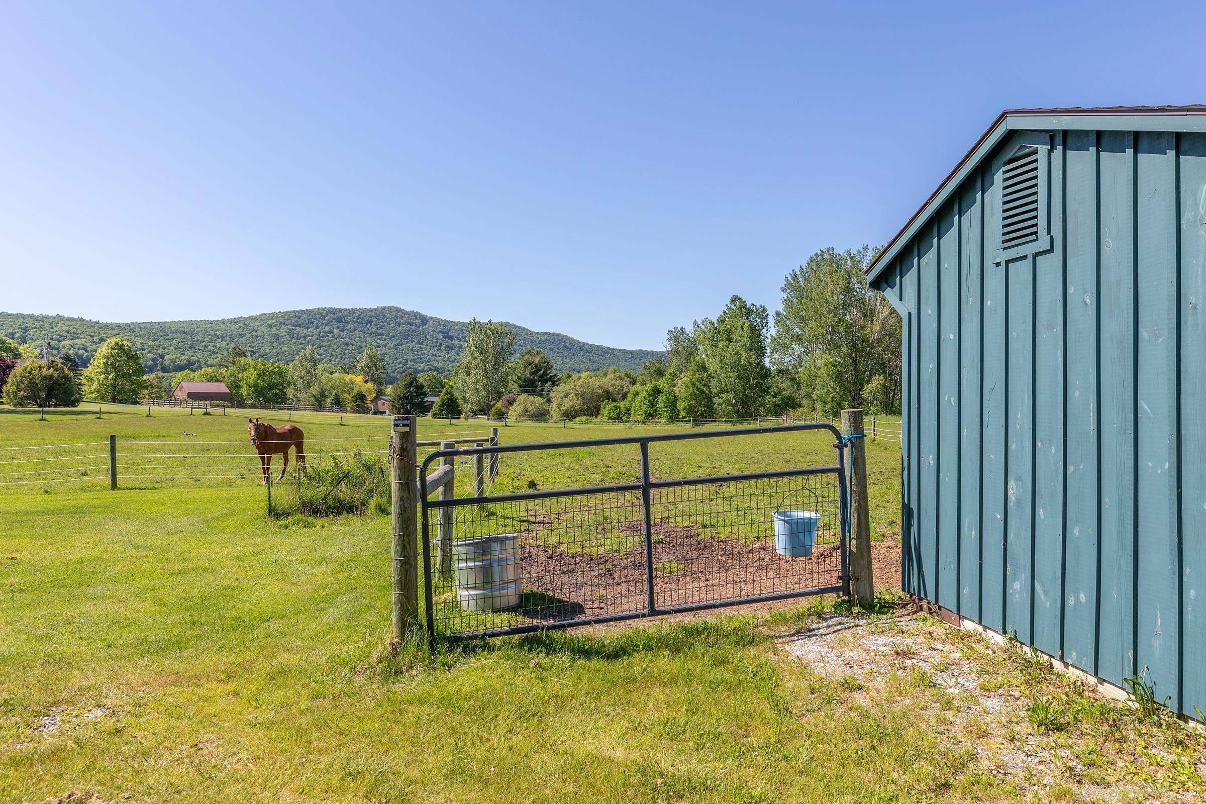 335 Tinmouth Road Property Photo 42