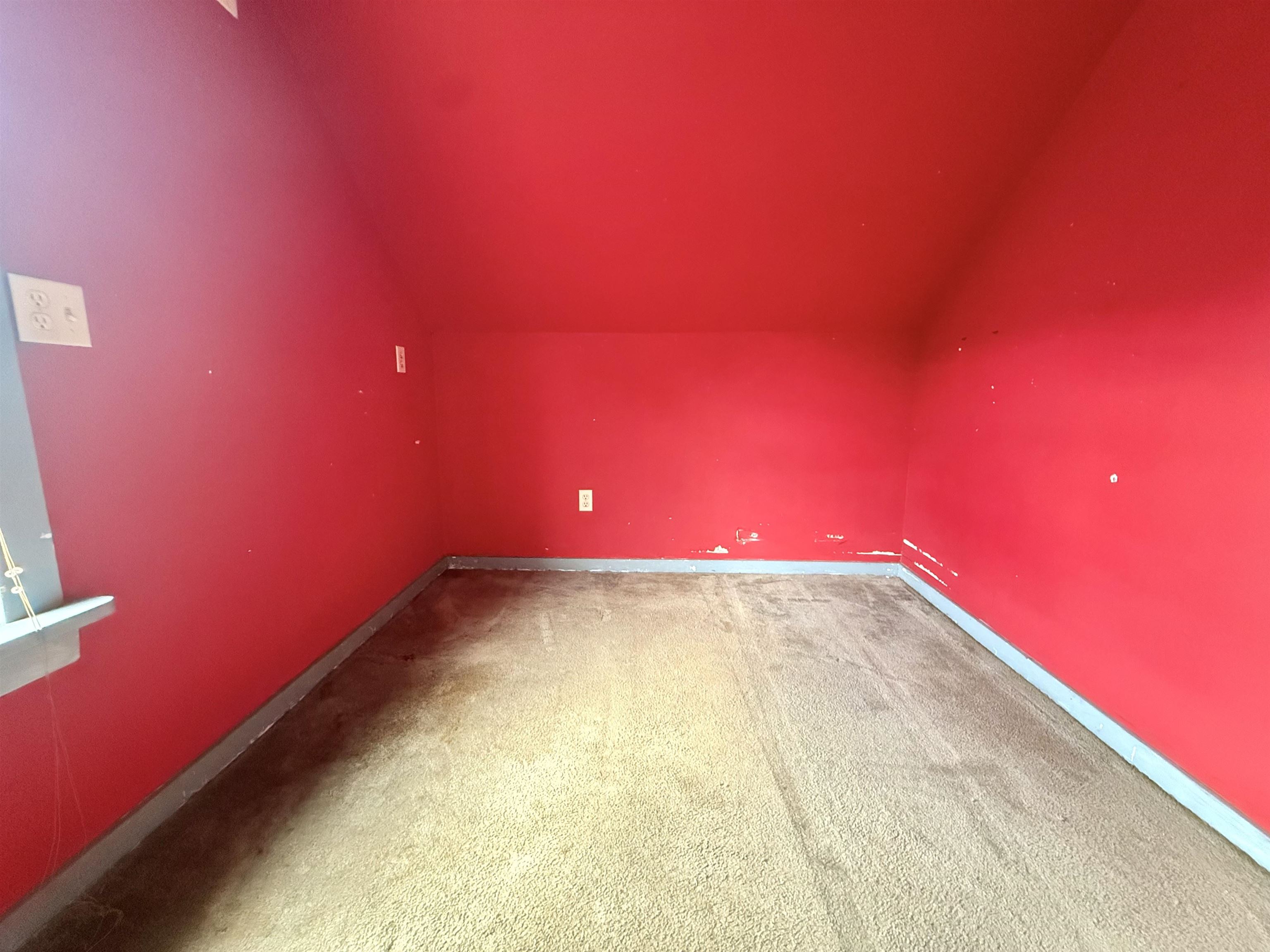 56 Forest Street Property Photo 18