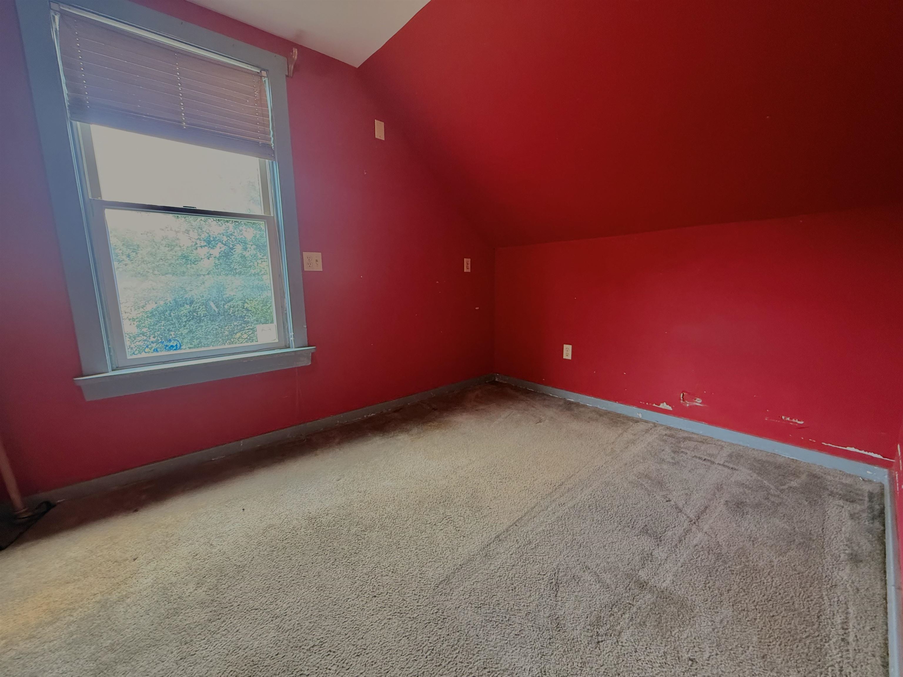 56 Forest Street Property Photo 19