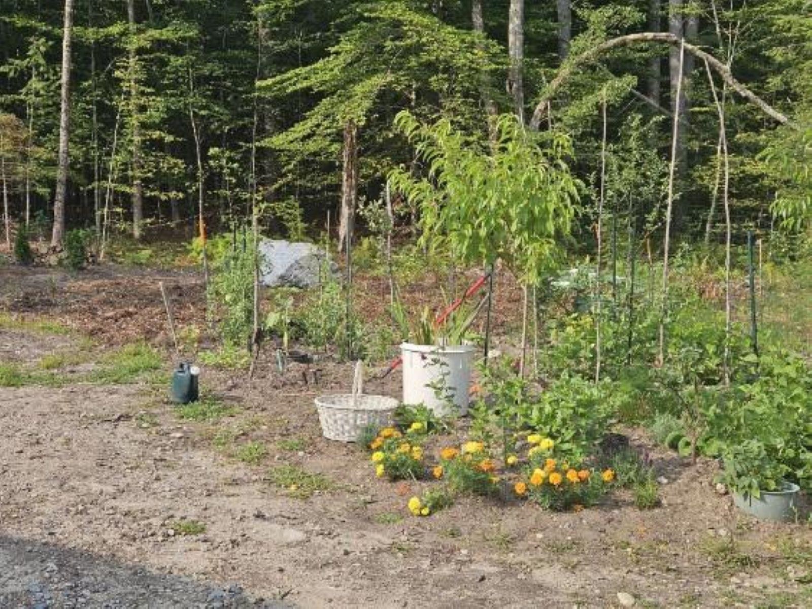 0 Canal Road Property Photo 11