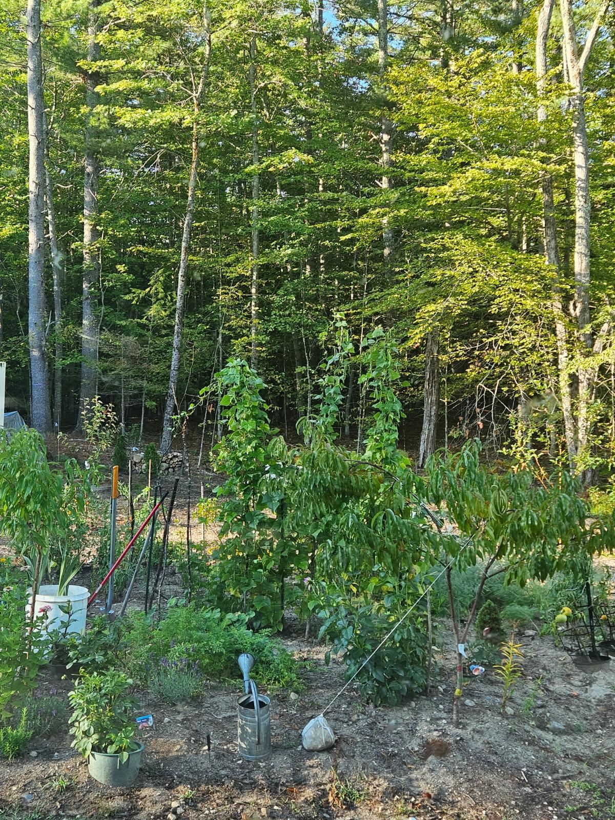 0 Canal Road Property Photo 28