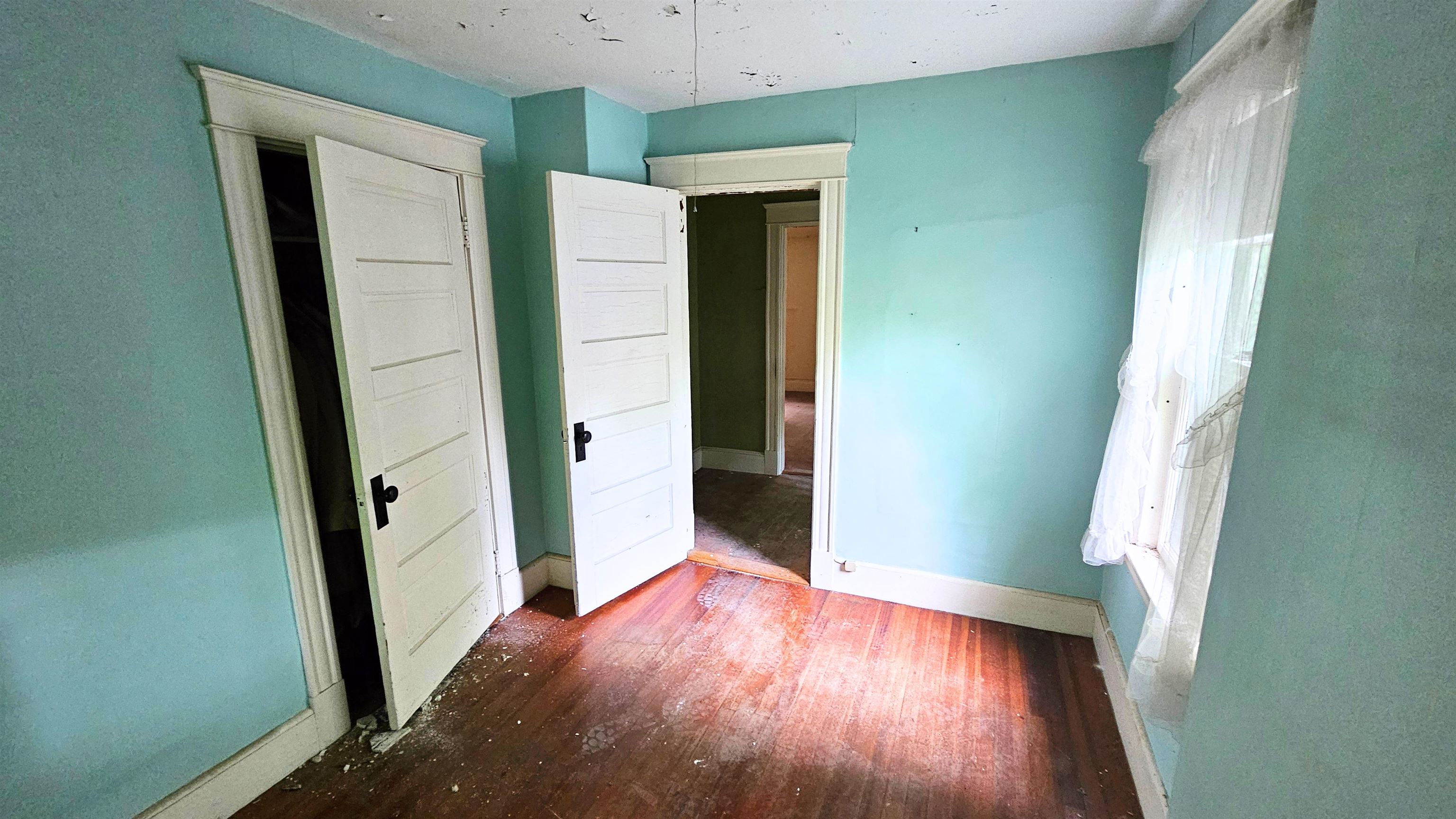 17 Clement Road Property Photo 13