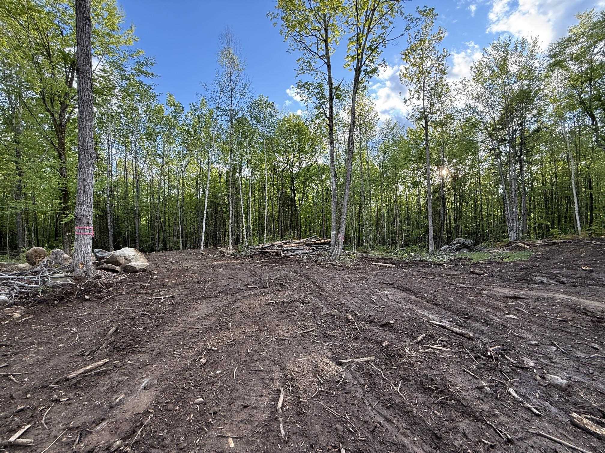 Lot 9 Old County Road Property Photo 10