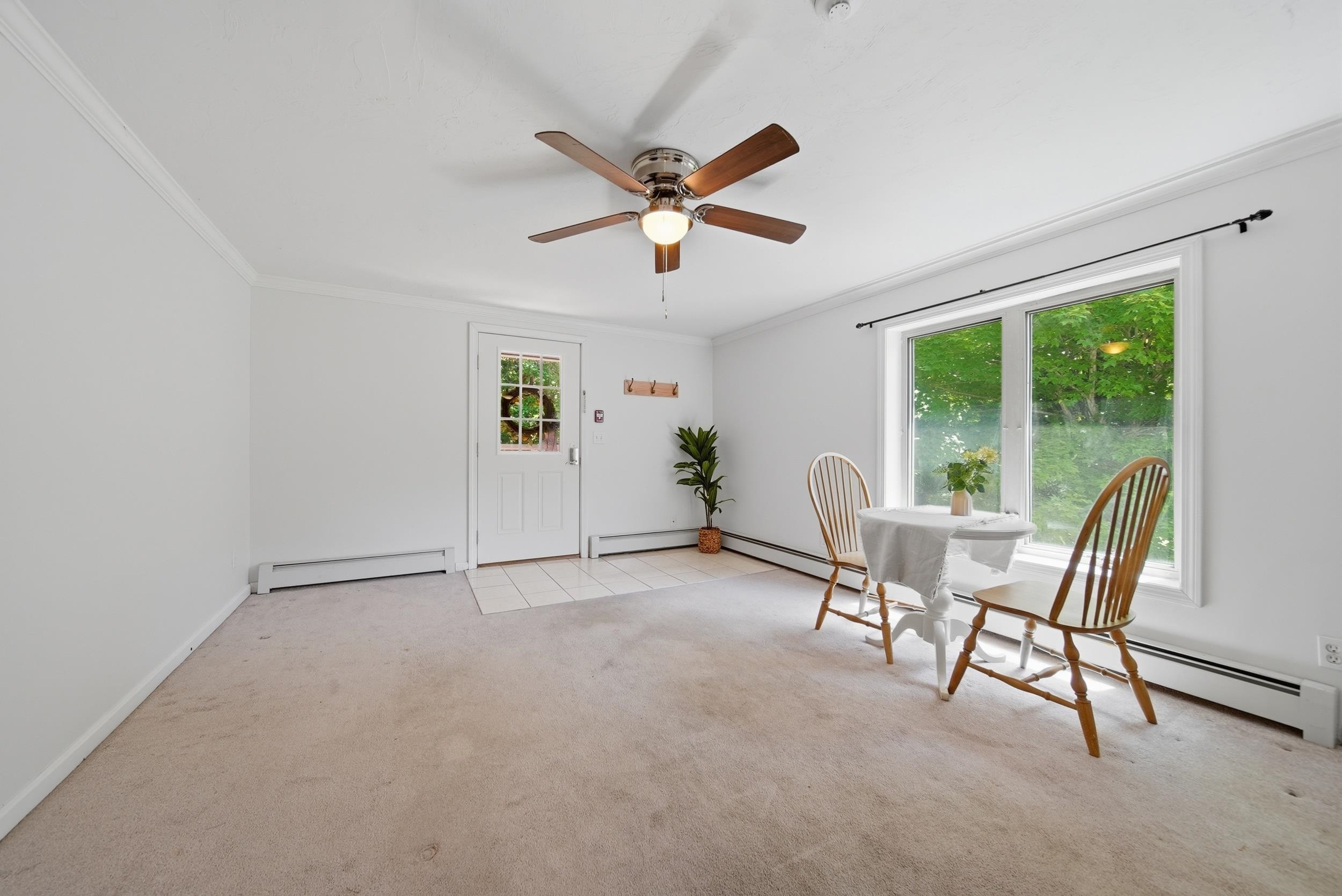 31 Henderson Road Property Photo 18