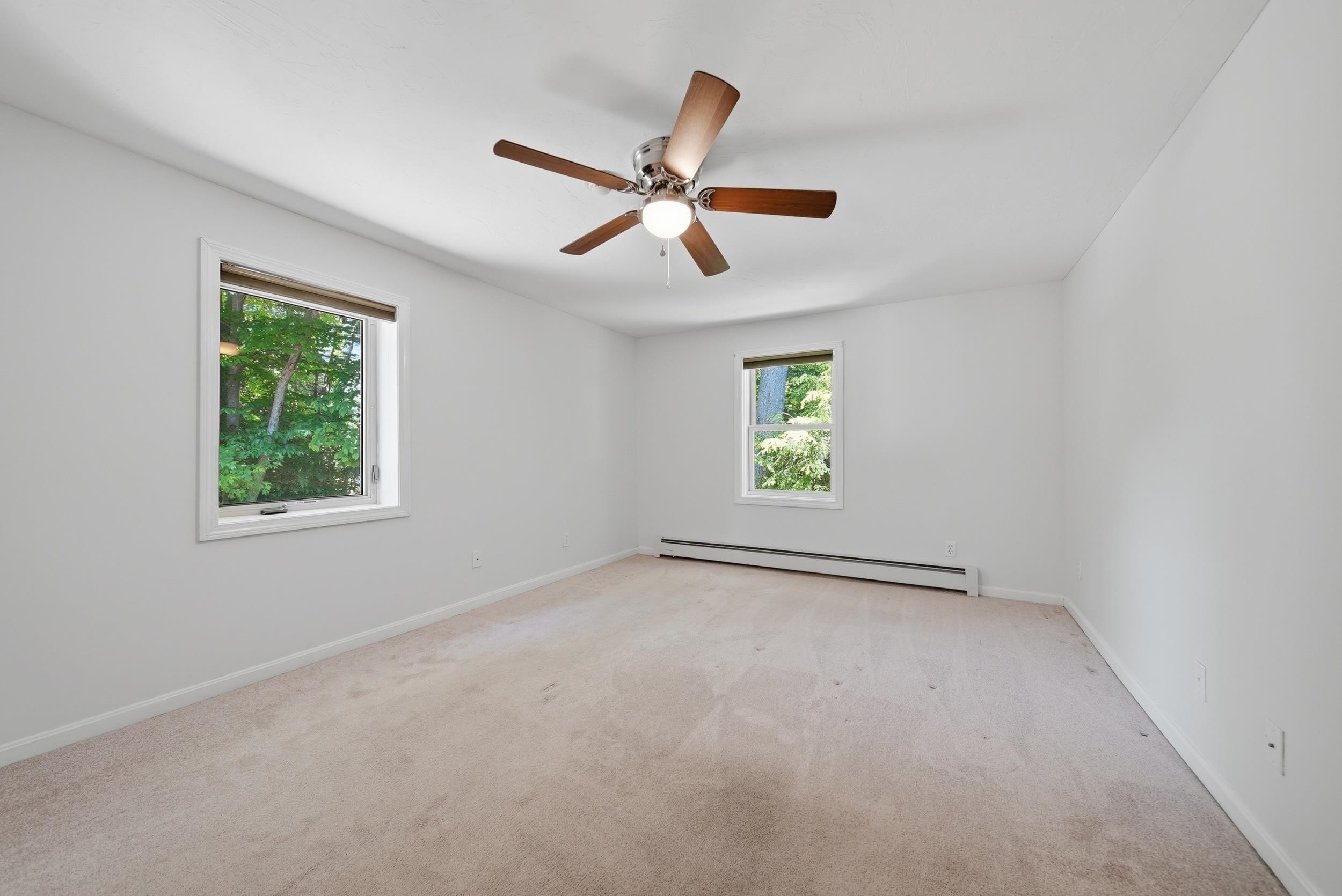 31 Henderson Road Property Photo 25