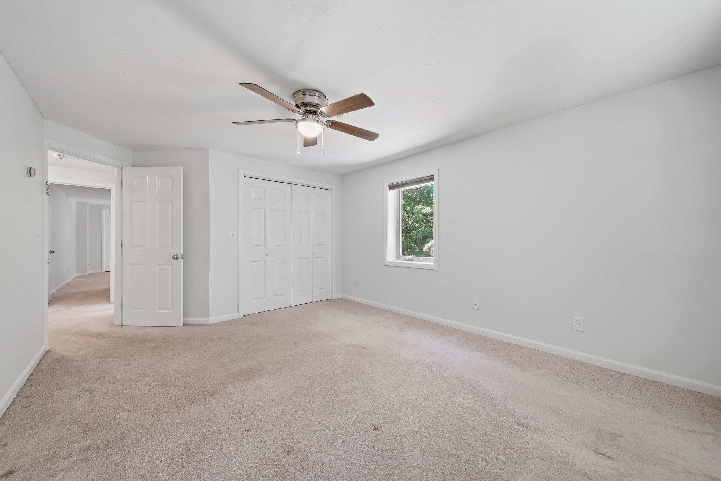 31 Henderson Road Property Photo 26