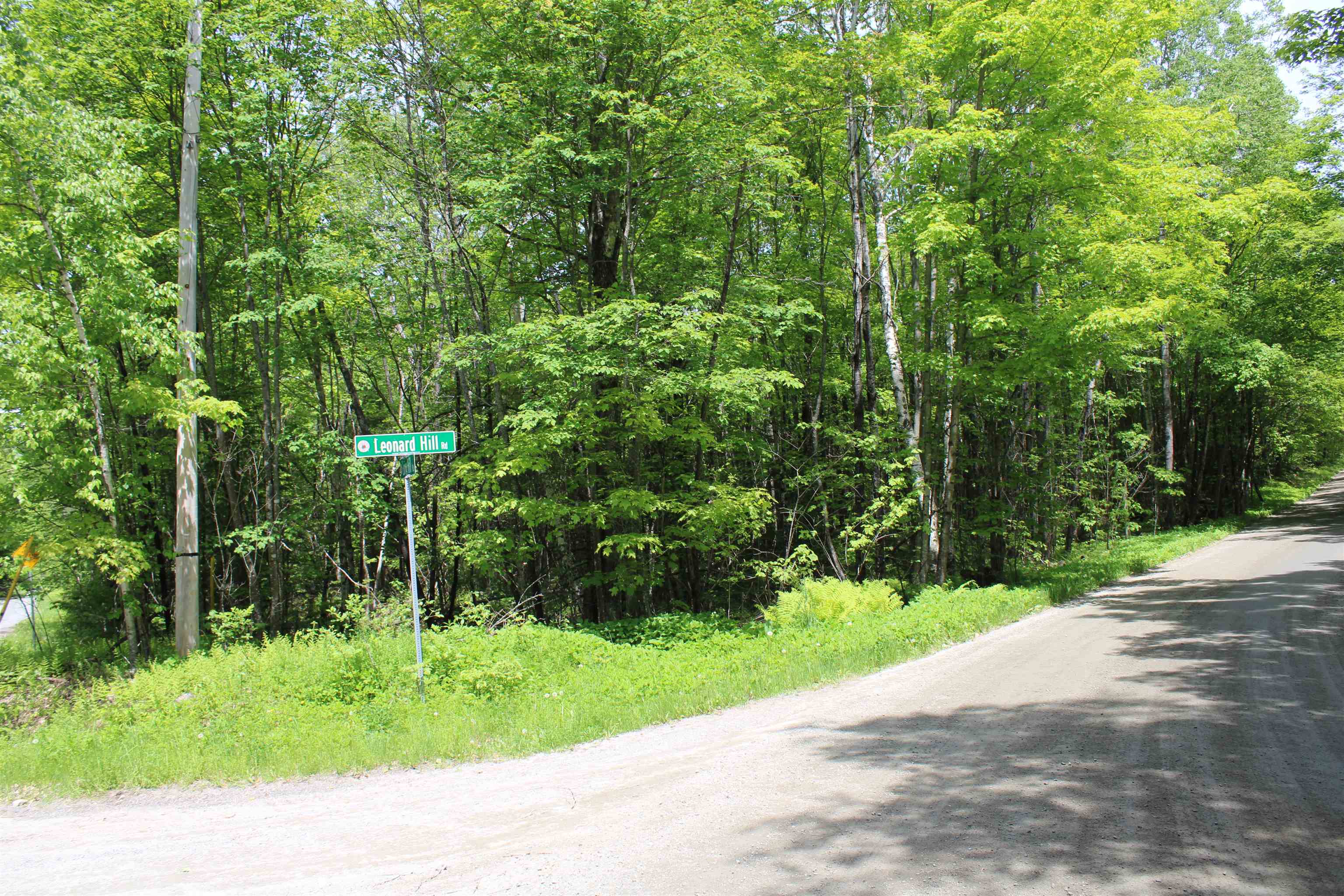 None Leonard Hill Property Photo 2