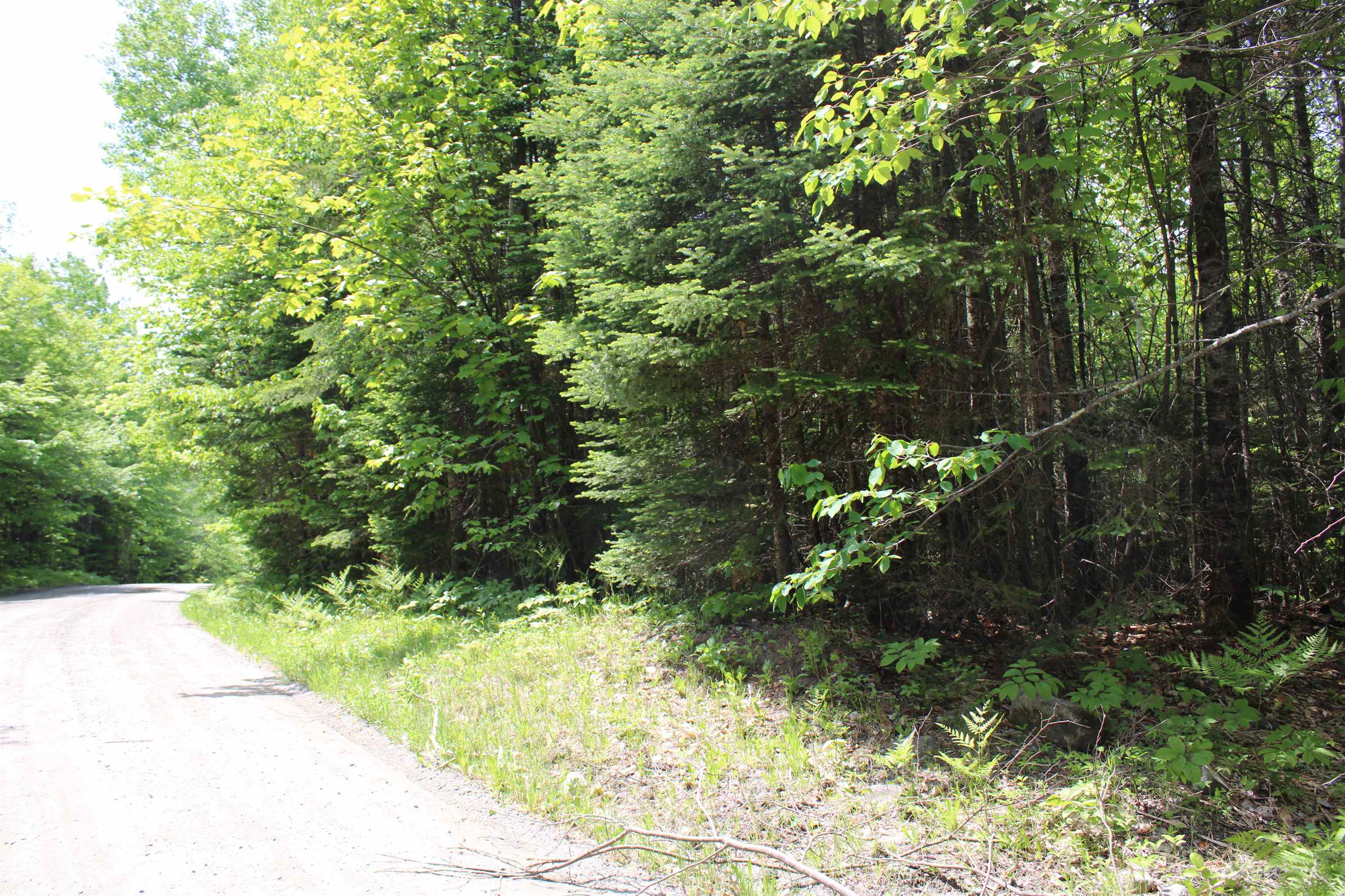None Leonard Hill Property Photo 3