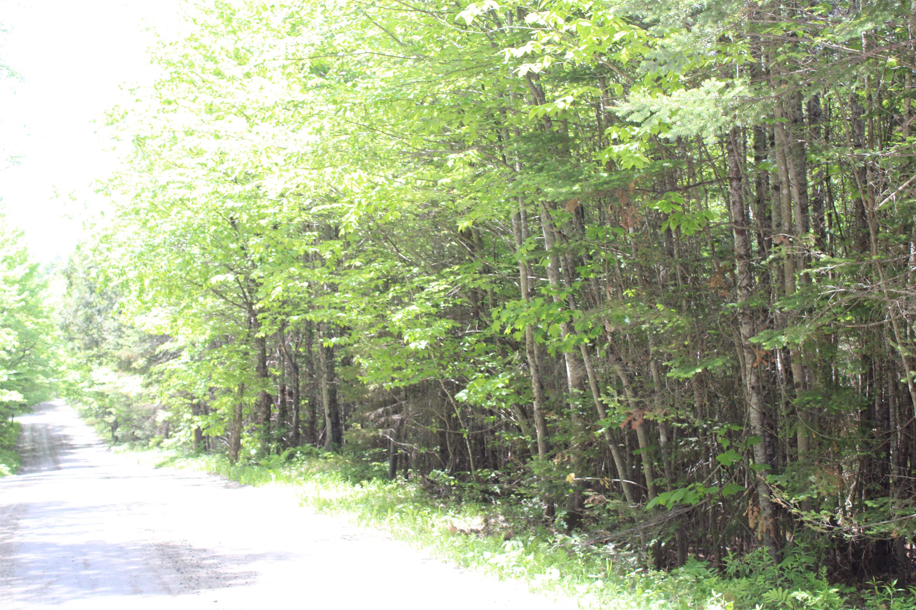Leonard Hill Property Photo 1