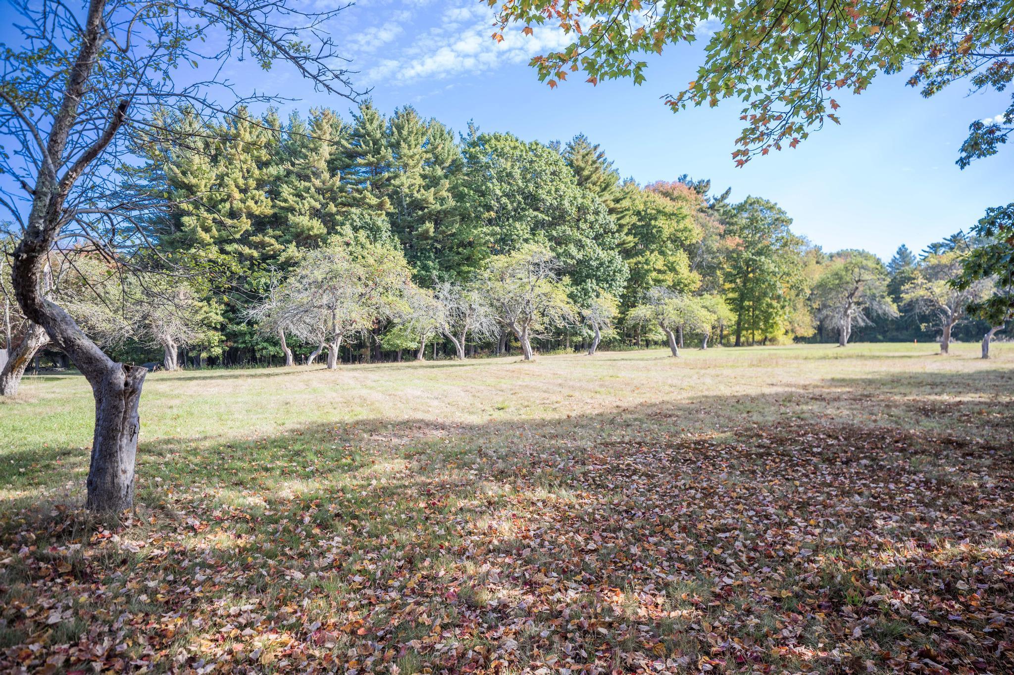 495 South Road Property Photo 6
