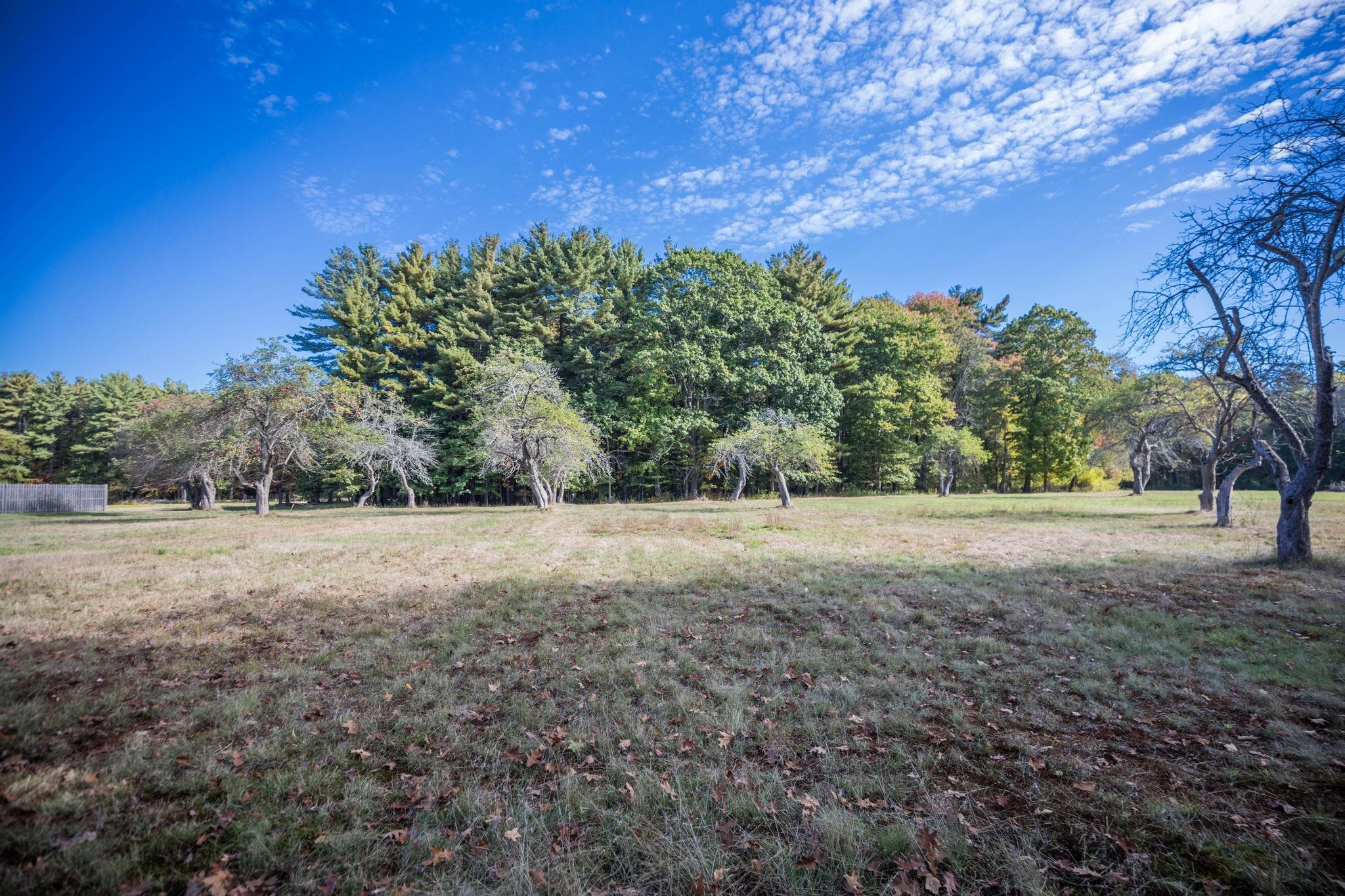 495 South Road Property Photo 10