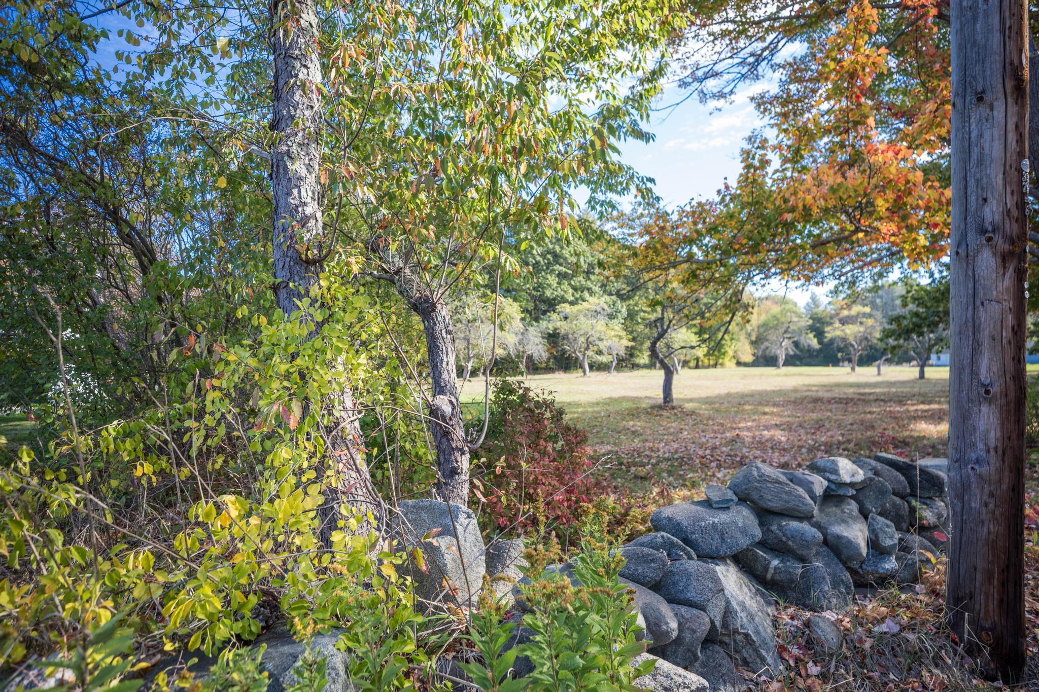 495 South Road Property Photo 12