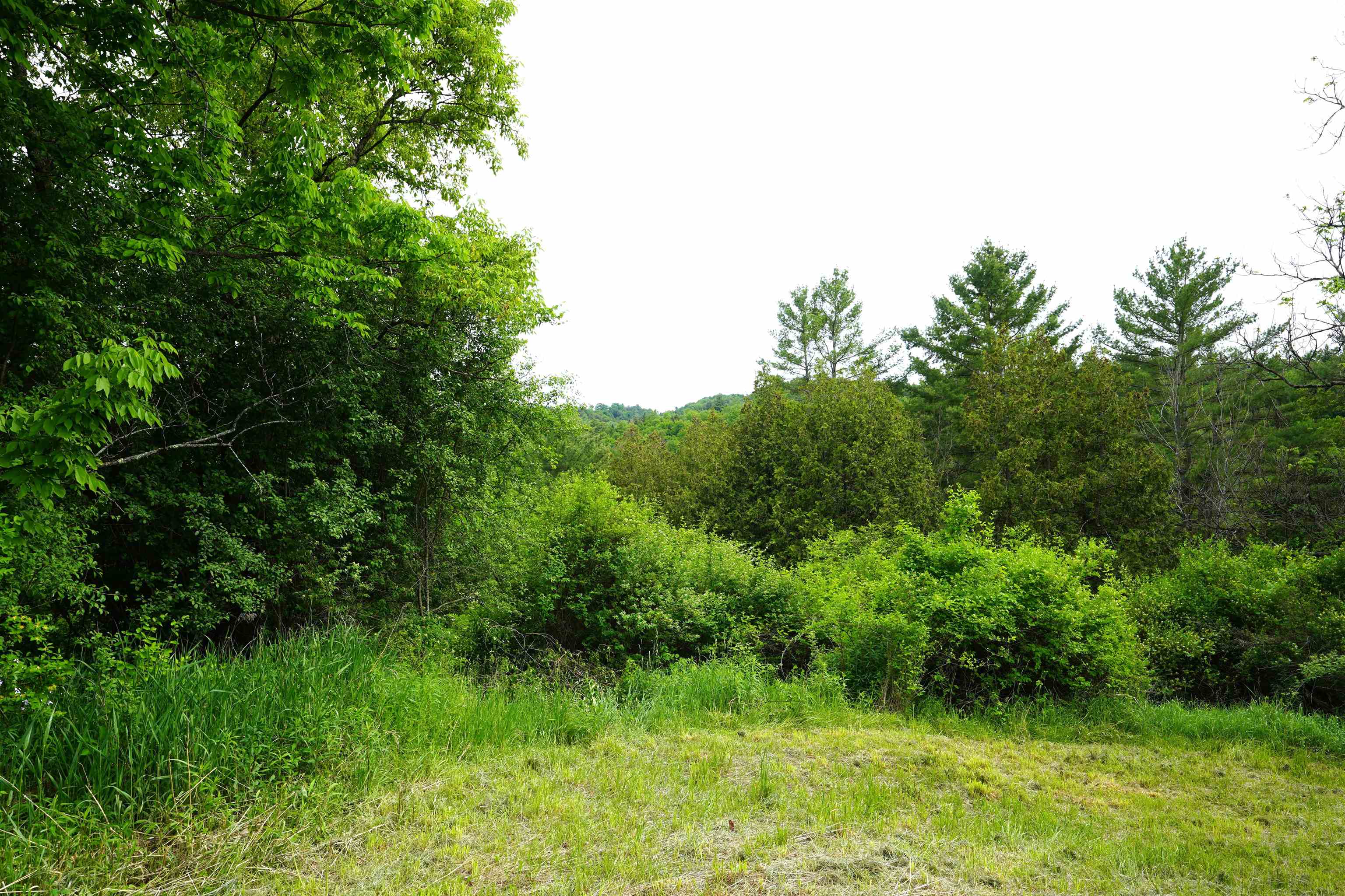 579 Gallison Hill Road Property Photo 2