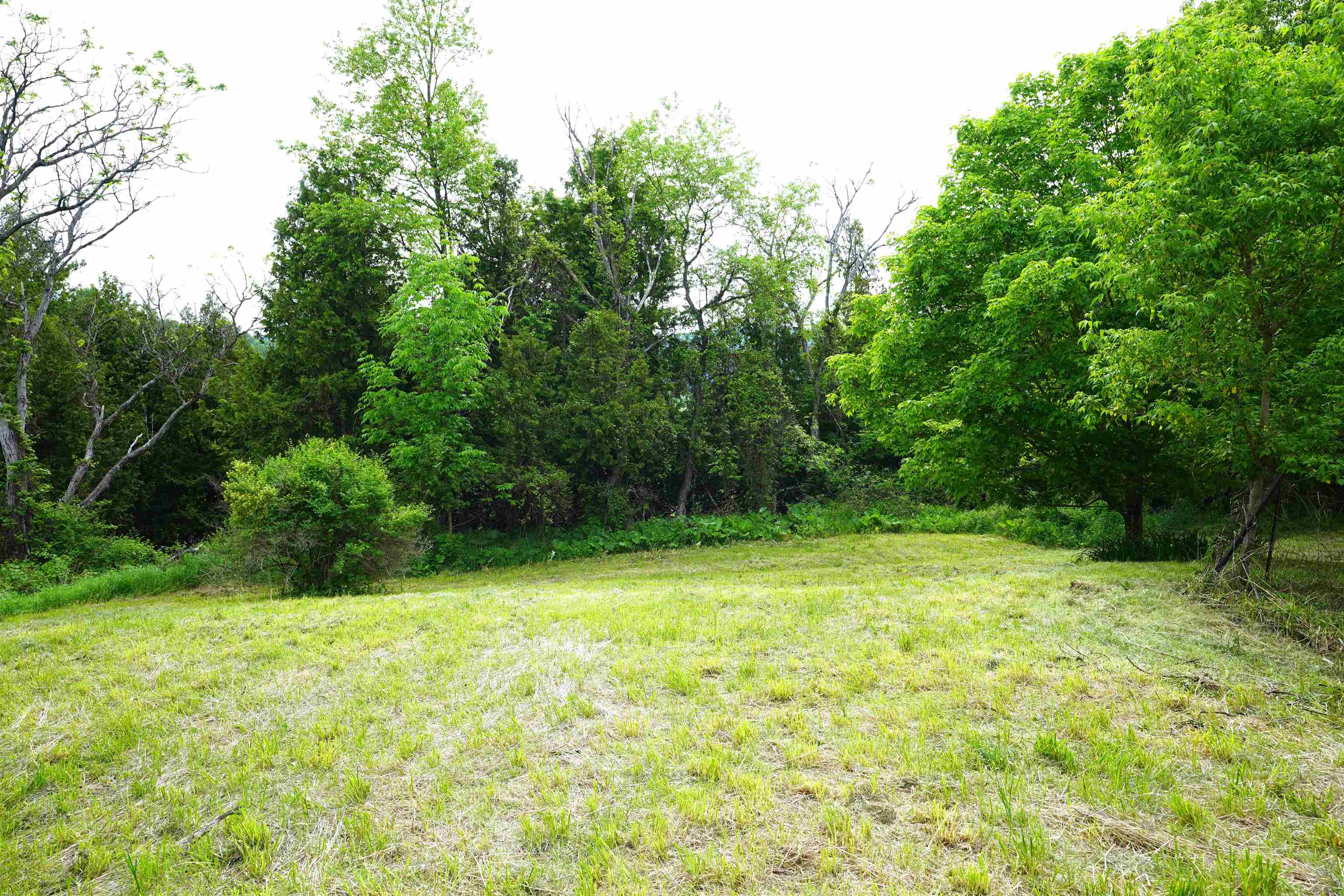 579 Gallison Hill Road Property Photo 5