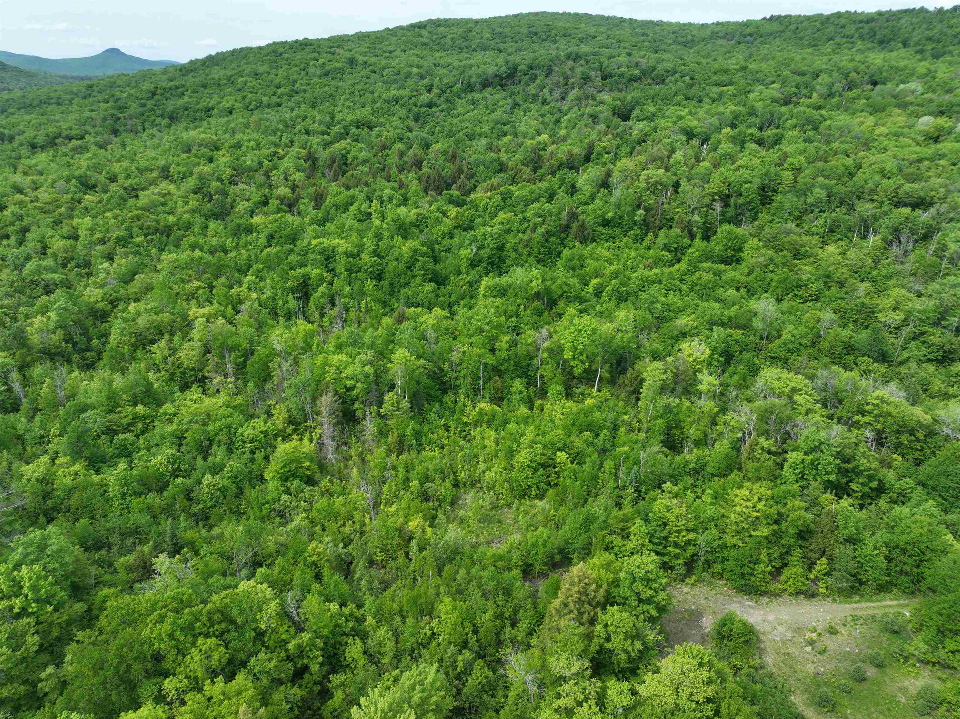 0 South County Road Property Photo 3