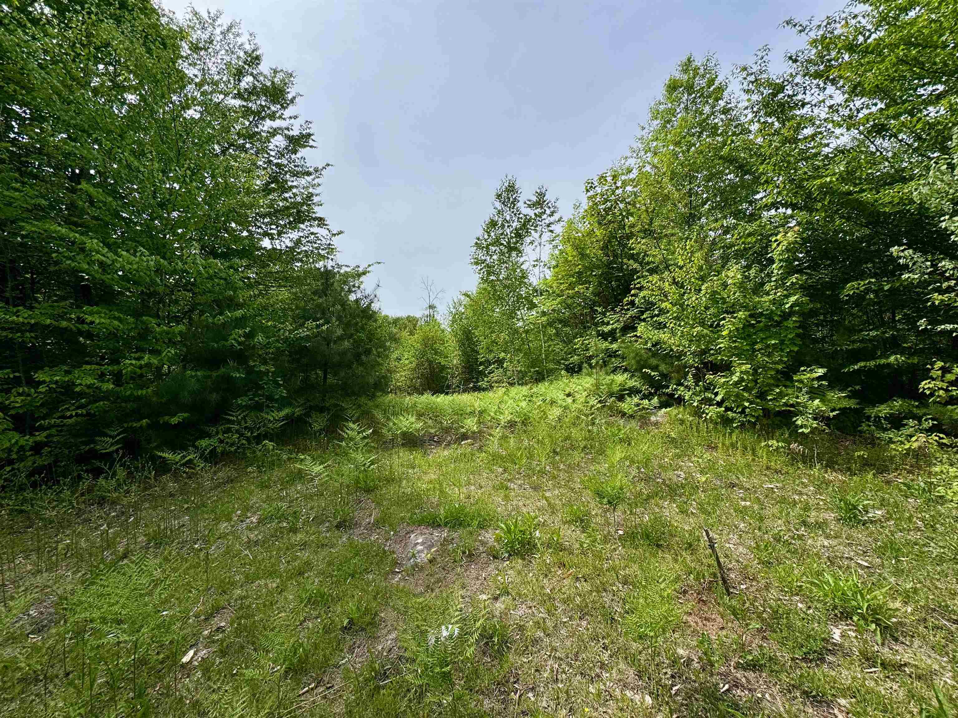 0 South County Road Property Photo 6