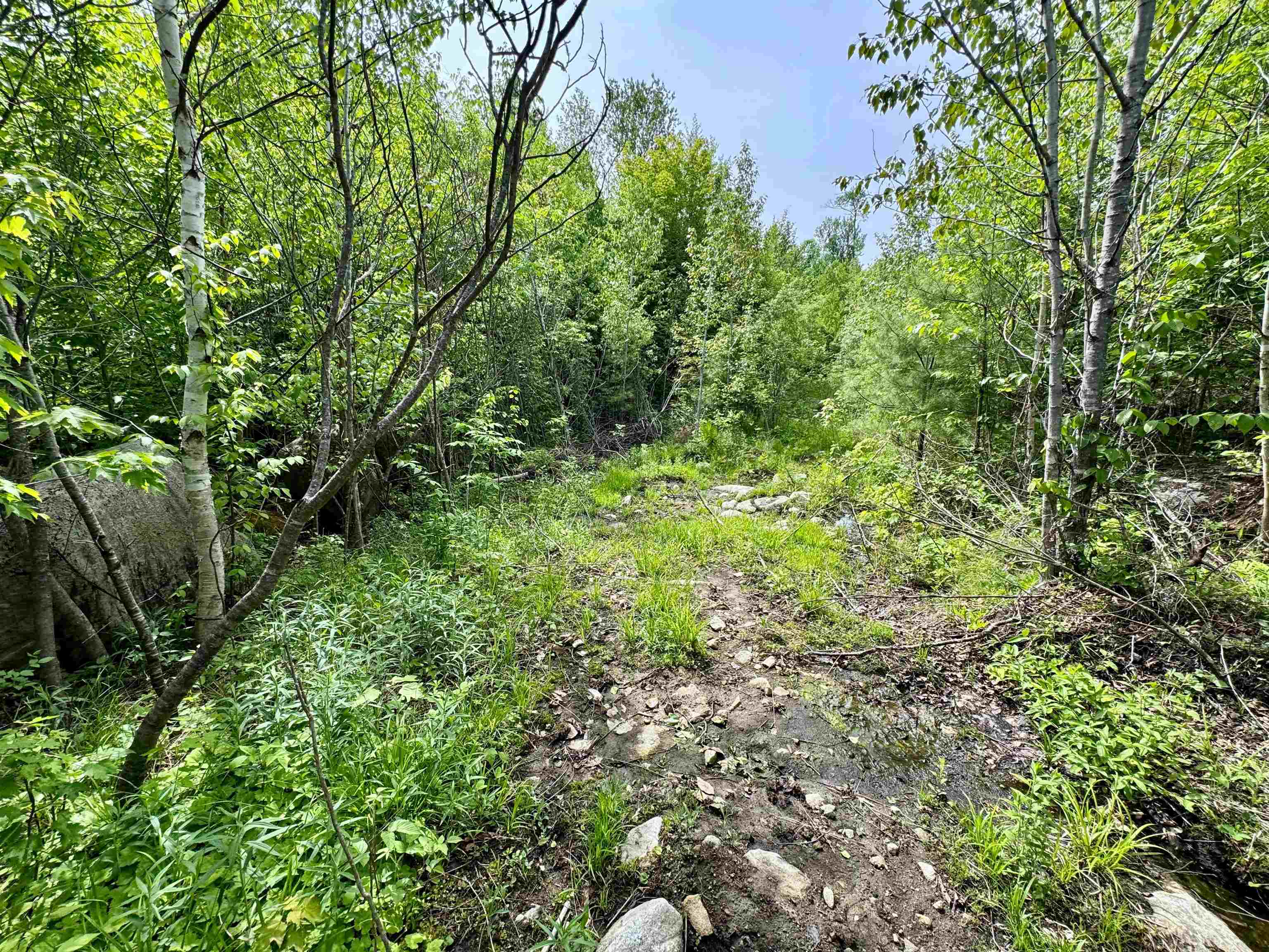 0 South County Road Property Photo 7