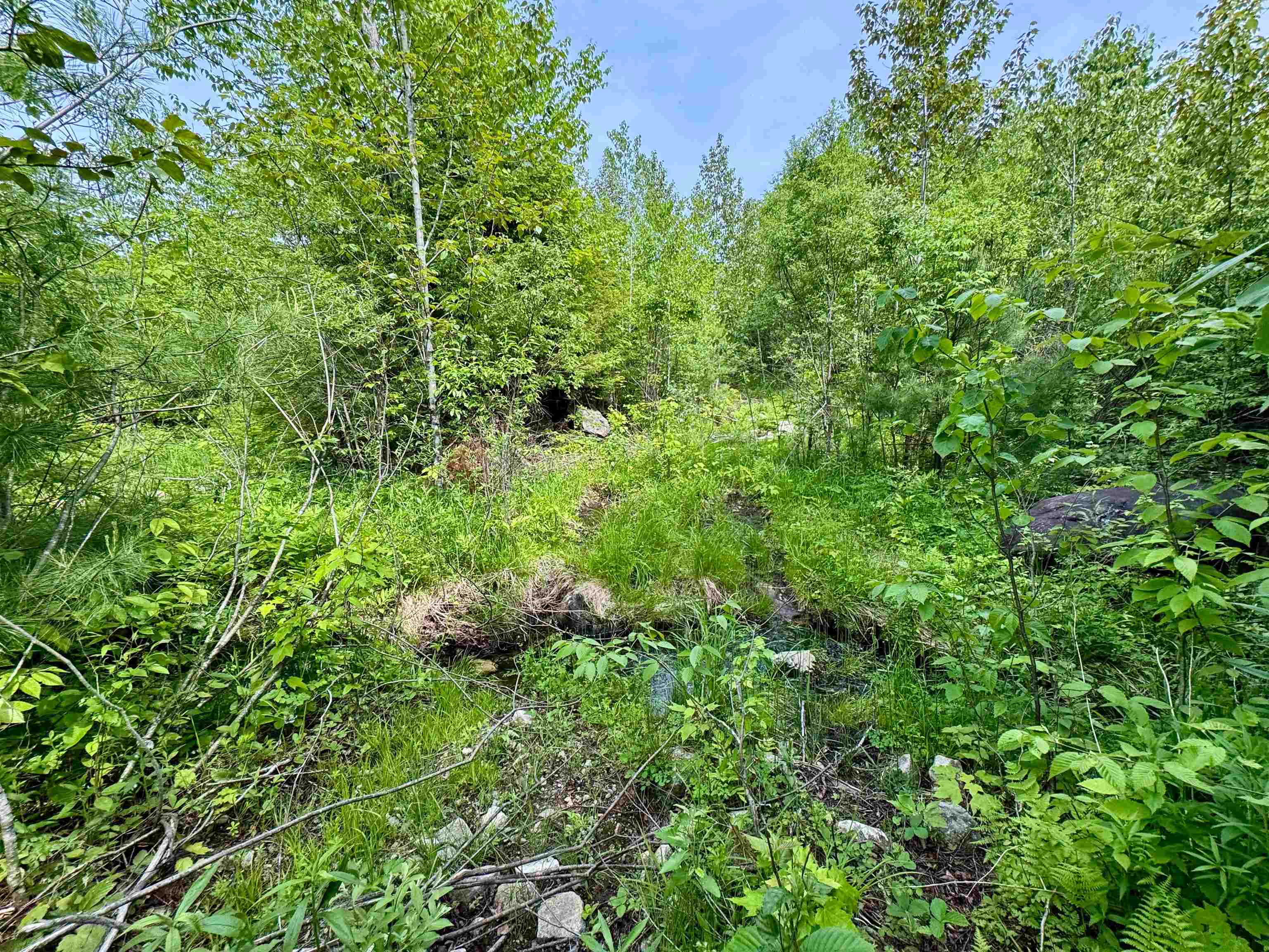 0 South County Road Property Photo 9